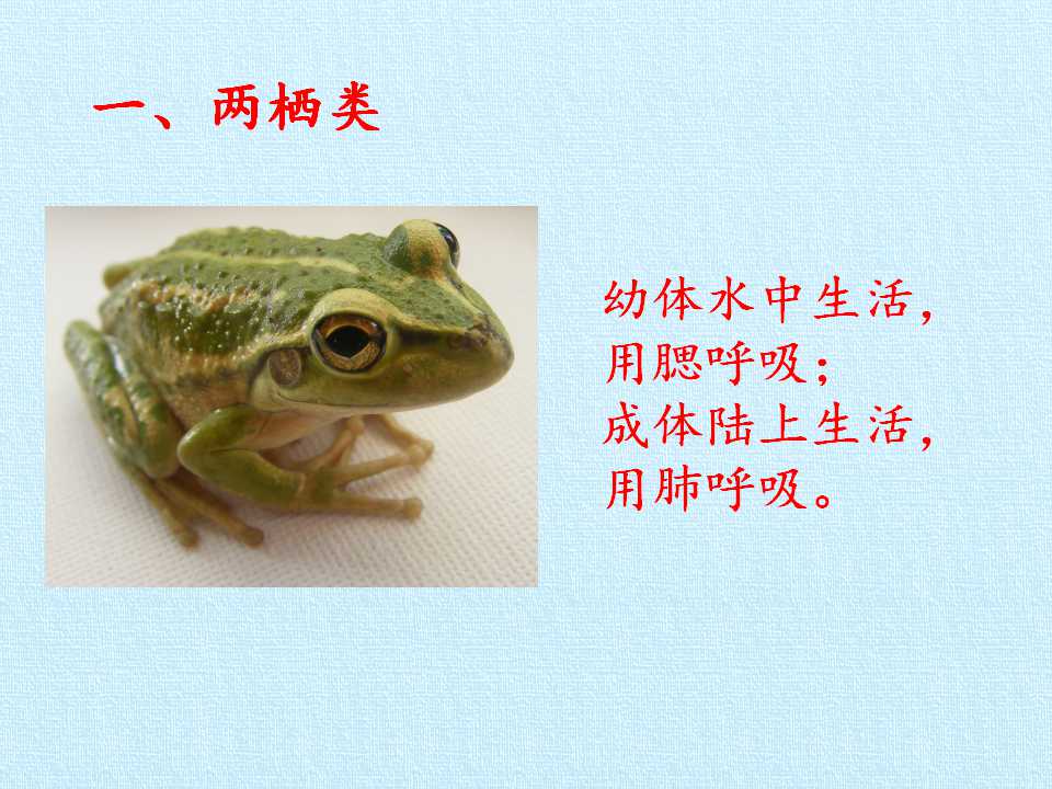 70.jpg