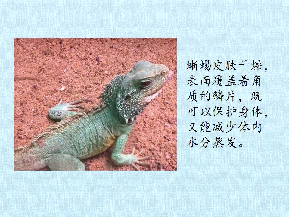 80.jpg