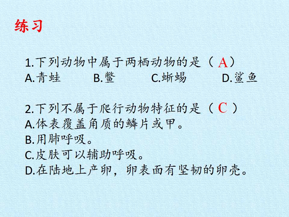 85.jpg