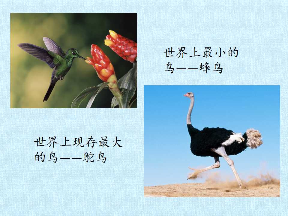 89.jpg