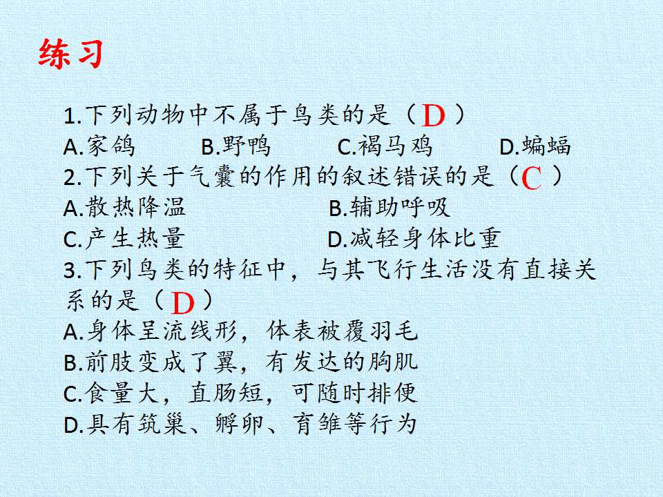 97.jpg