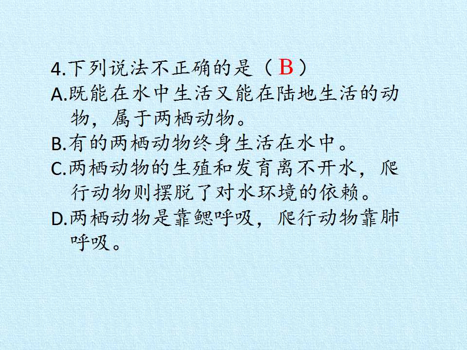 98.jpg