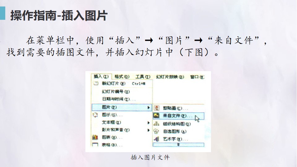 20.jpg