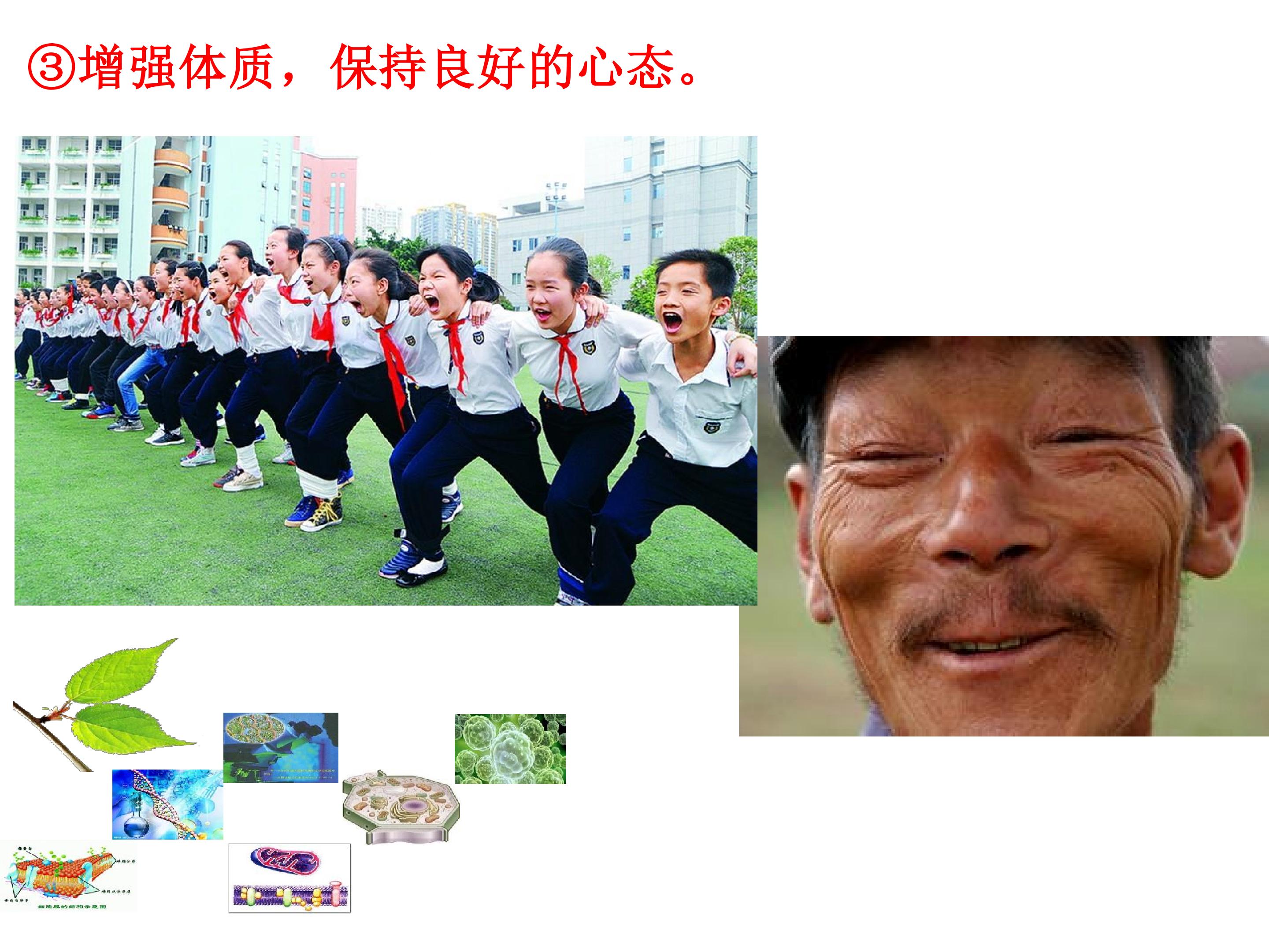 15.jpg