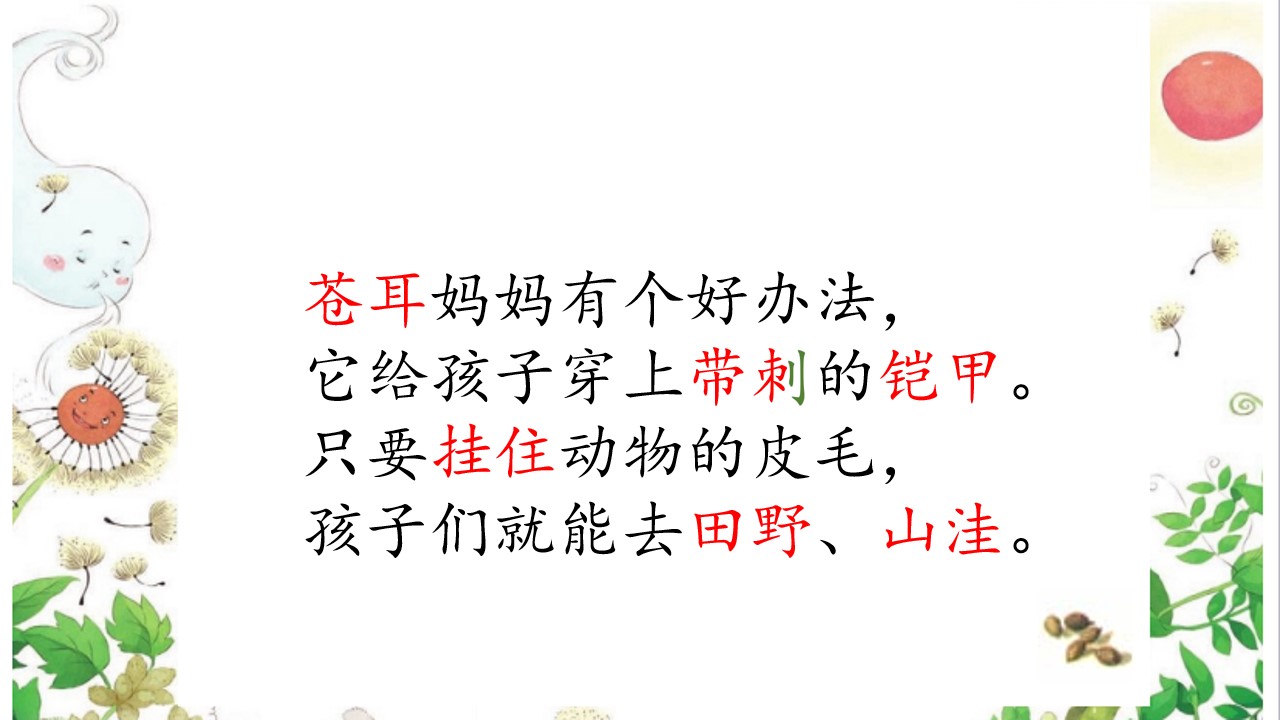 29.jpg