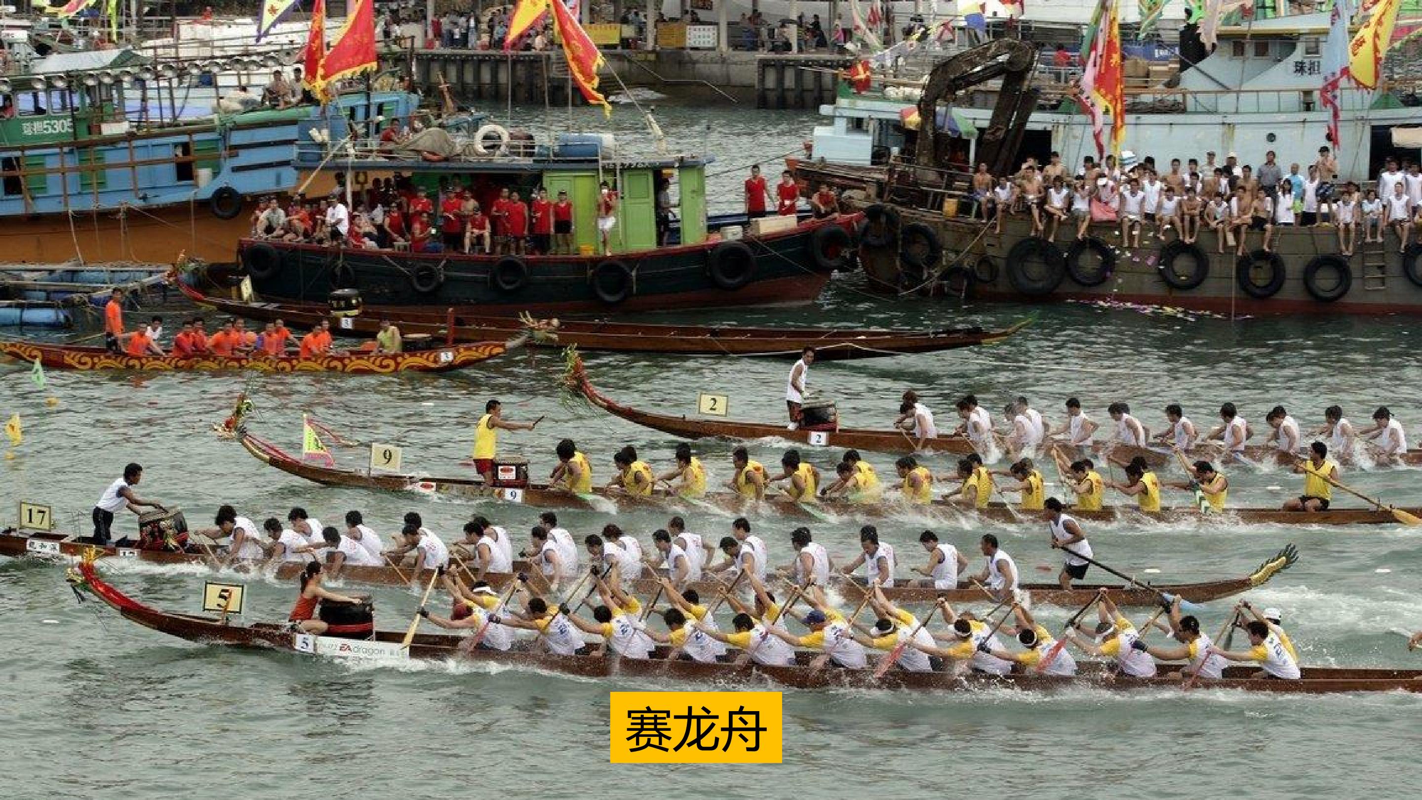 25.jpg