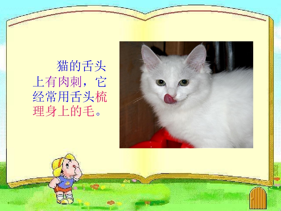 5.jpg
