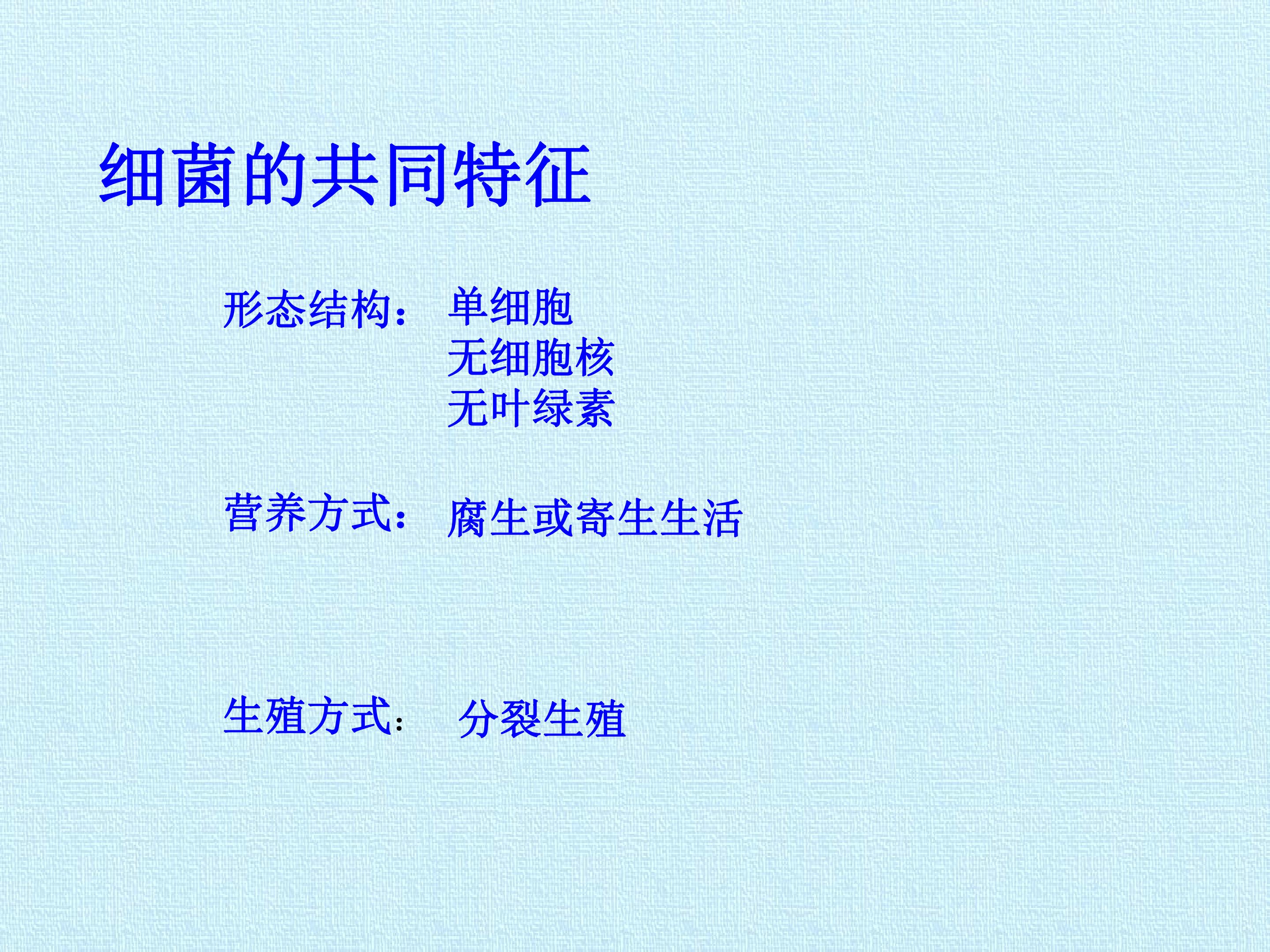 65.jpg