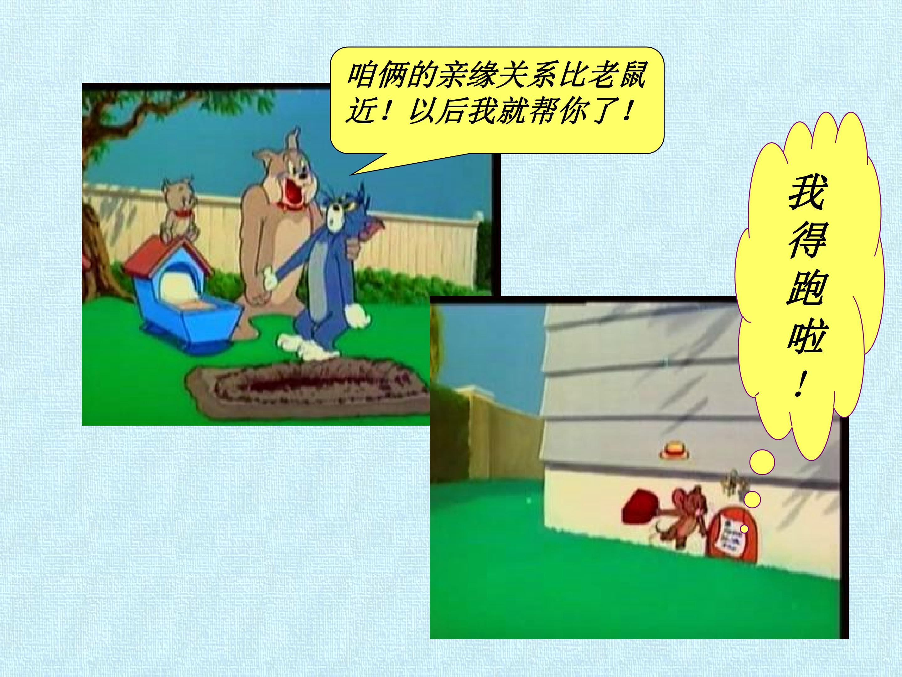 73.jpg