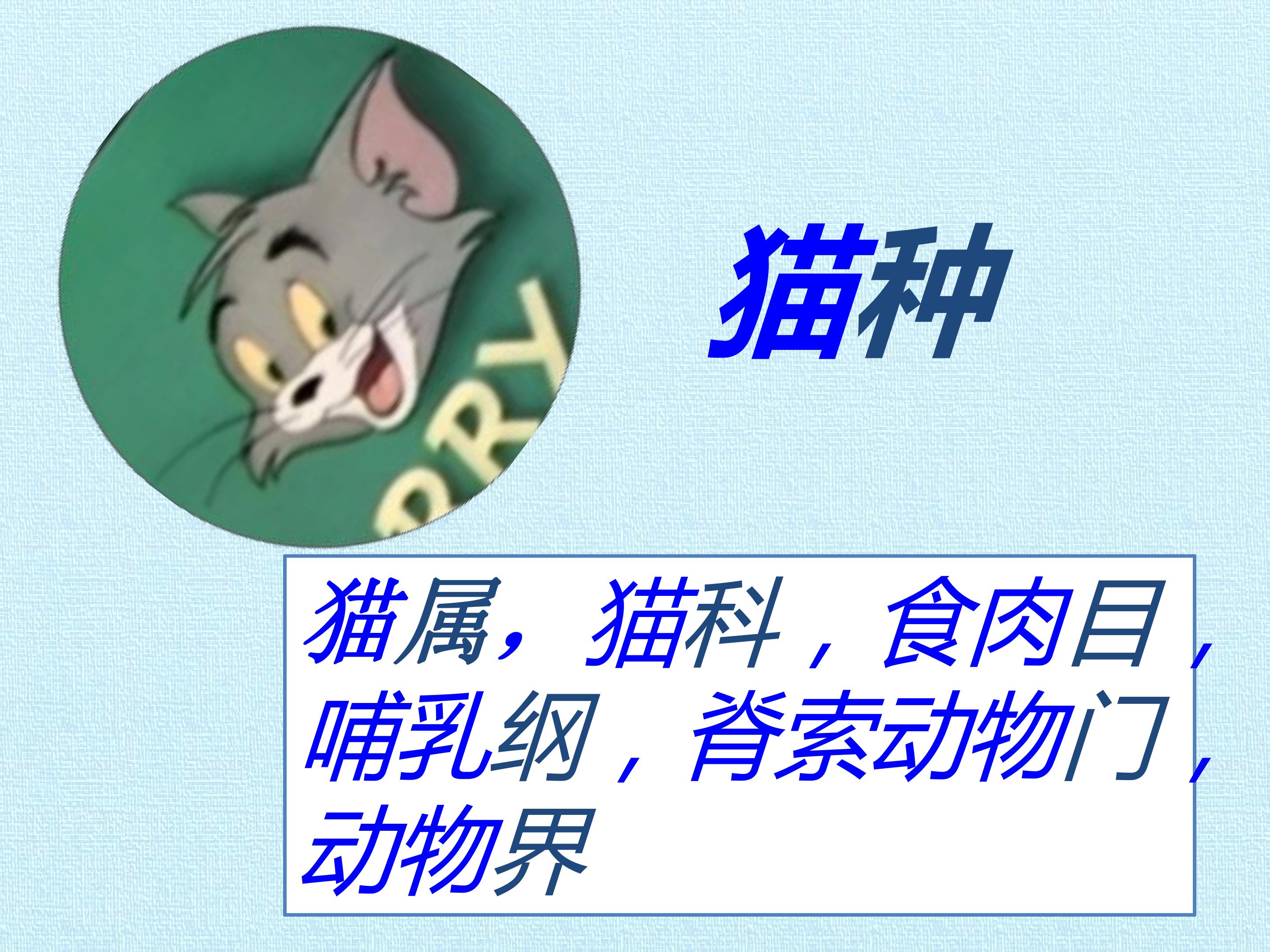 83.jpg