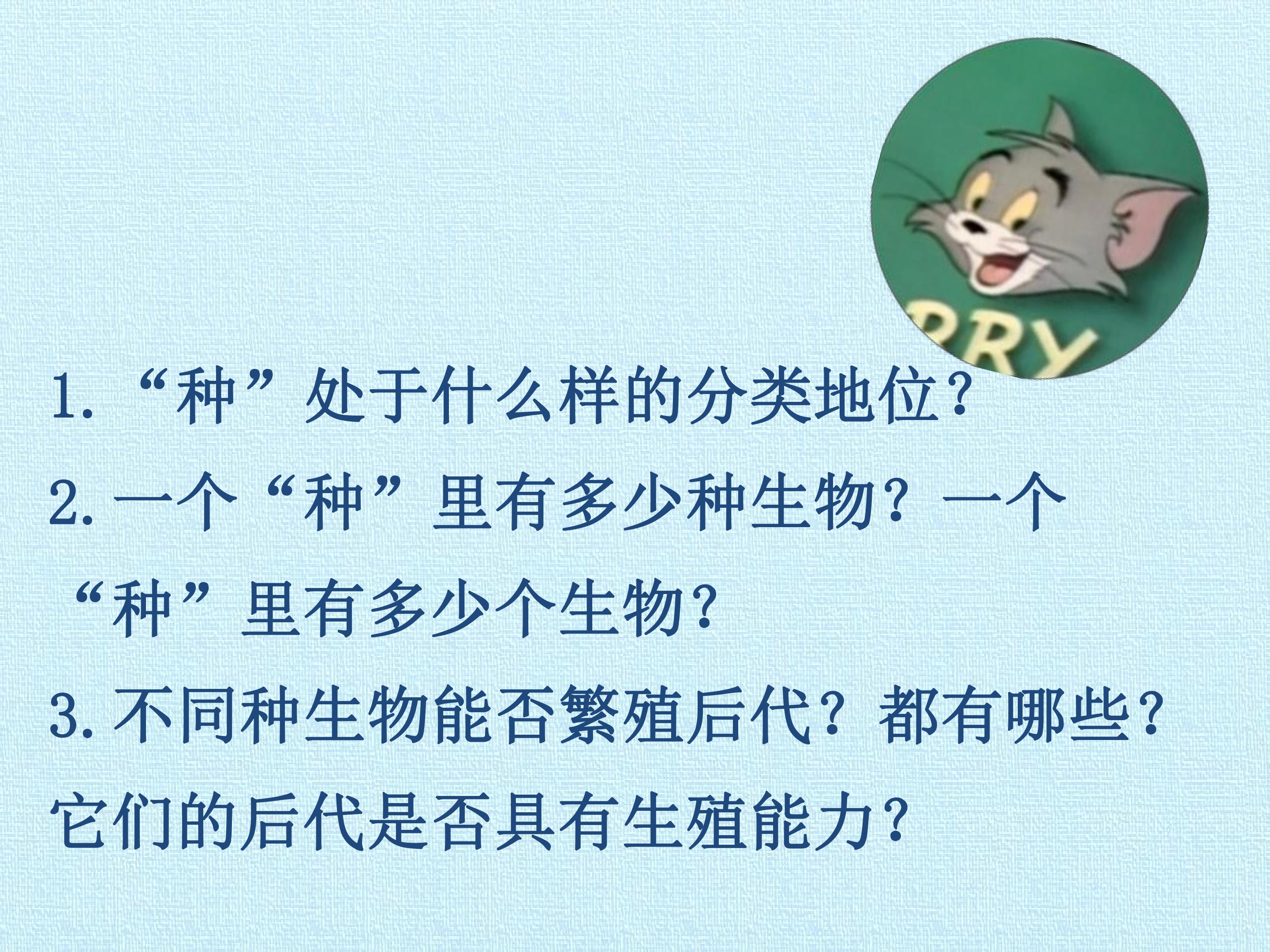 84.jpg