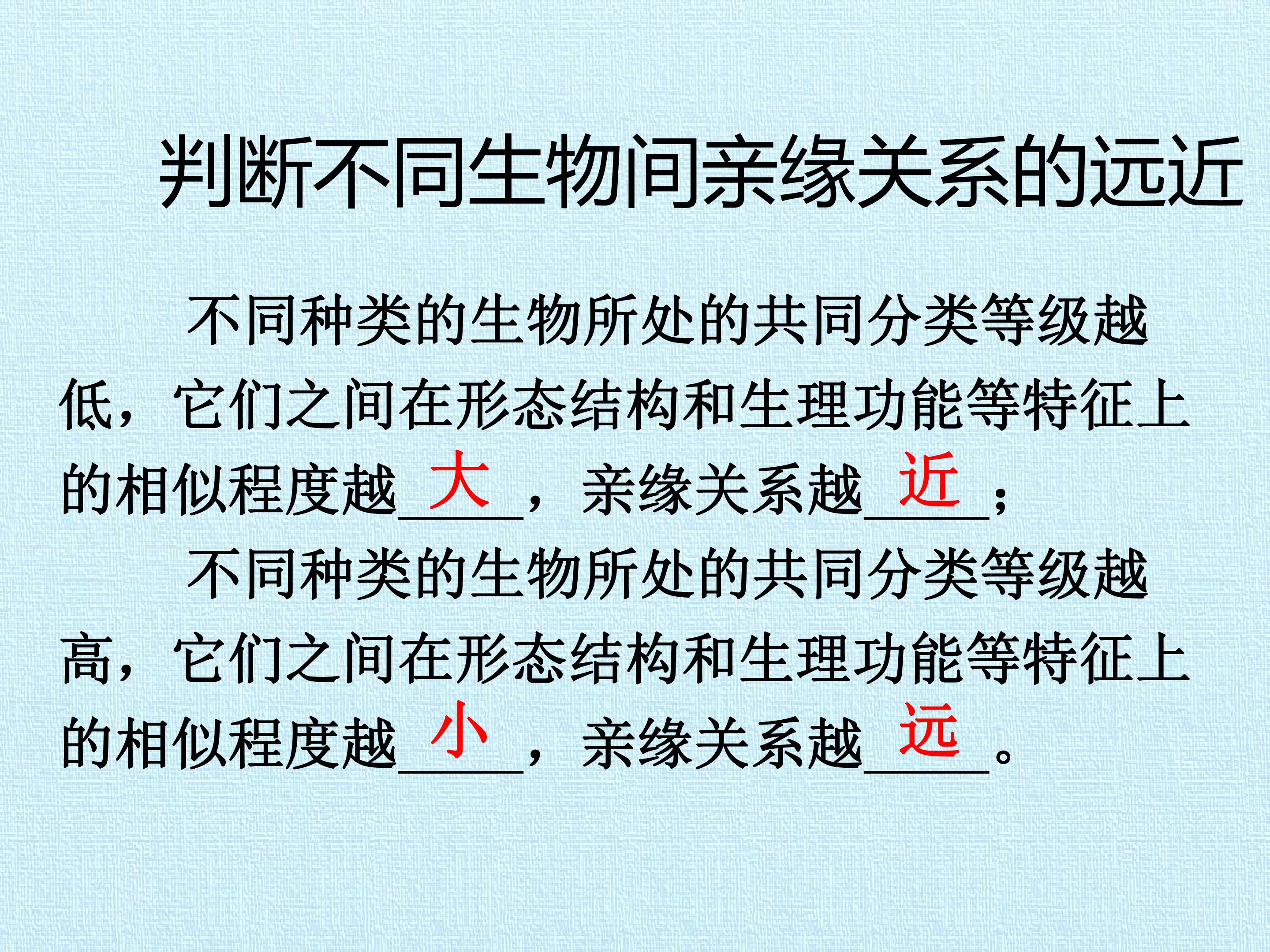 86.jpg