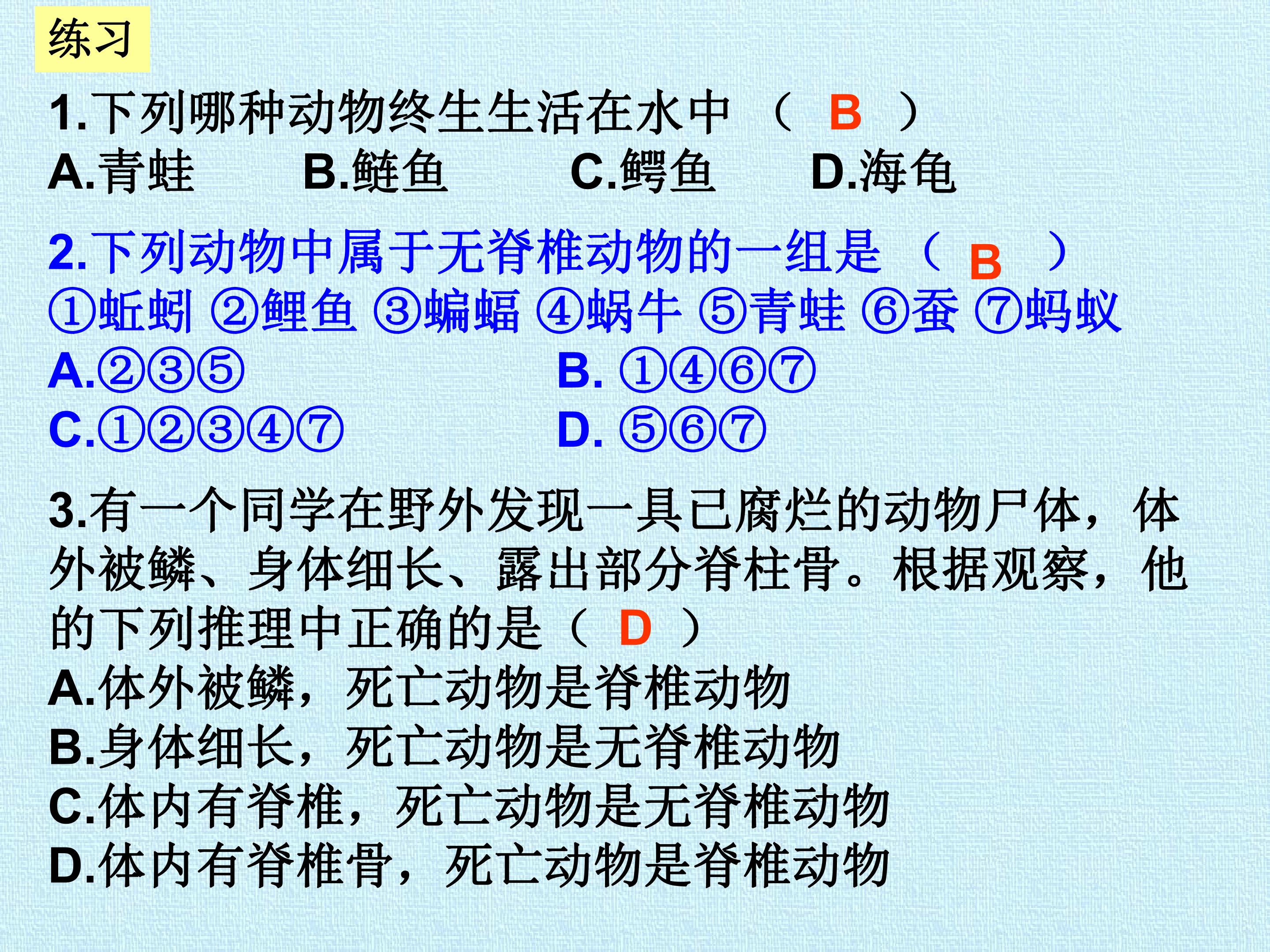 89.jpg