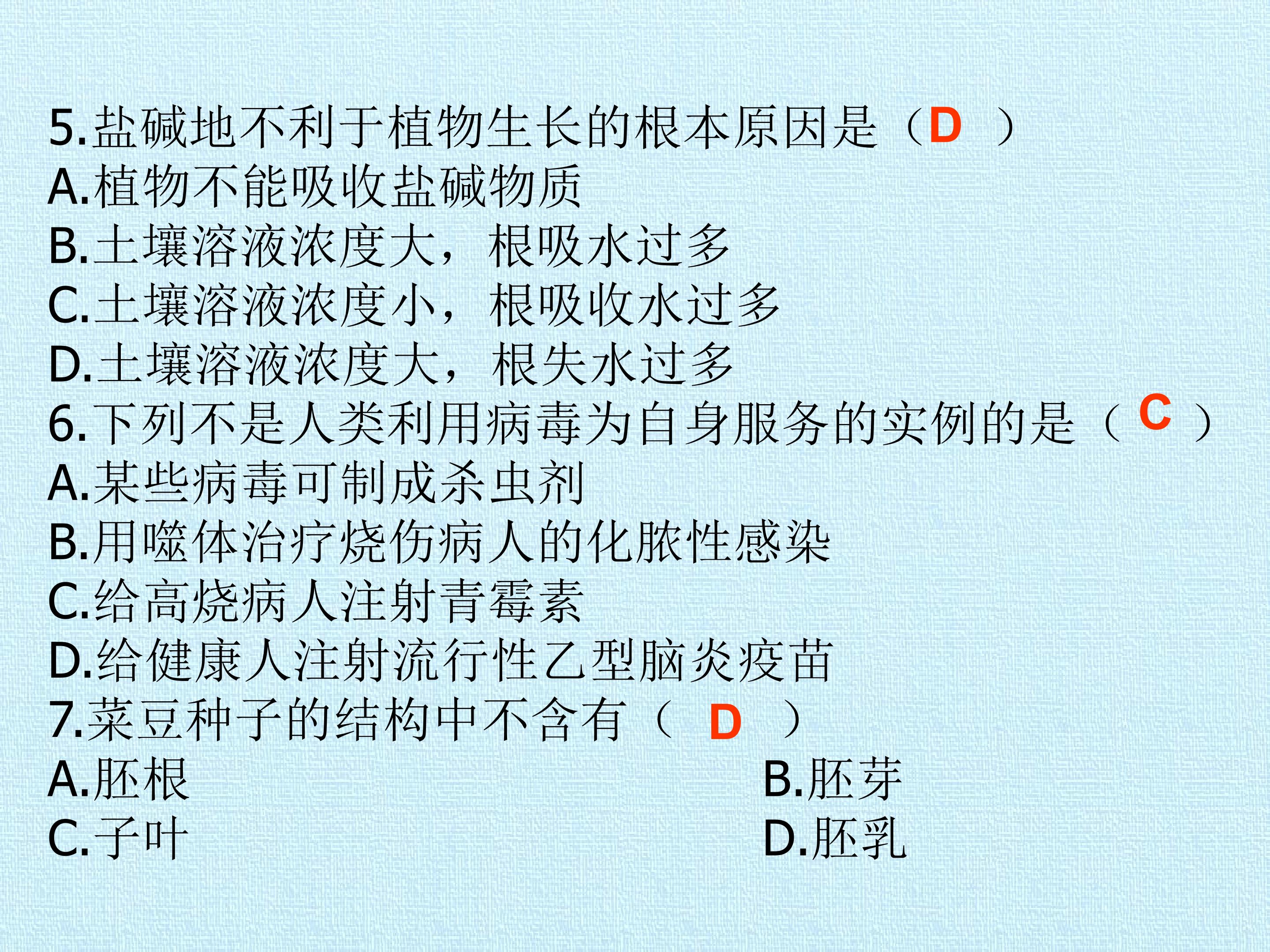 91.jpg