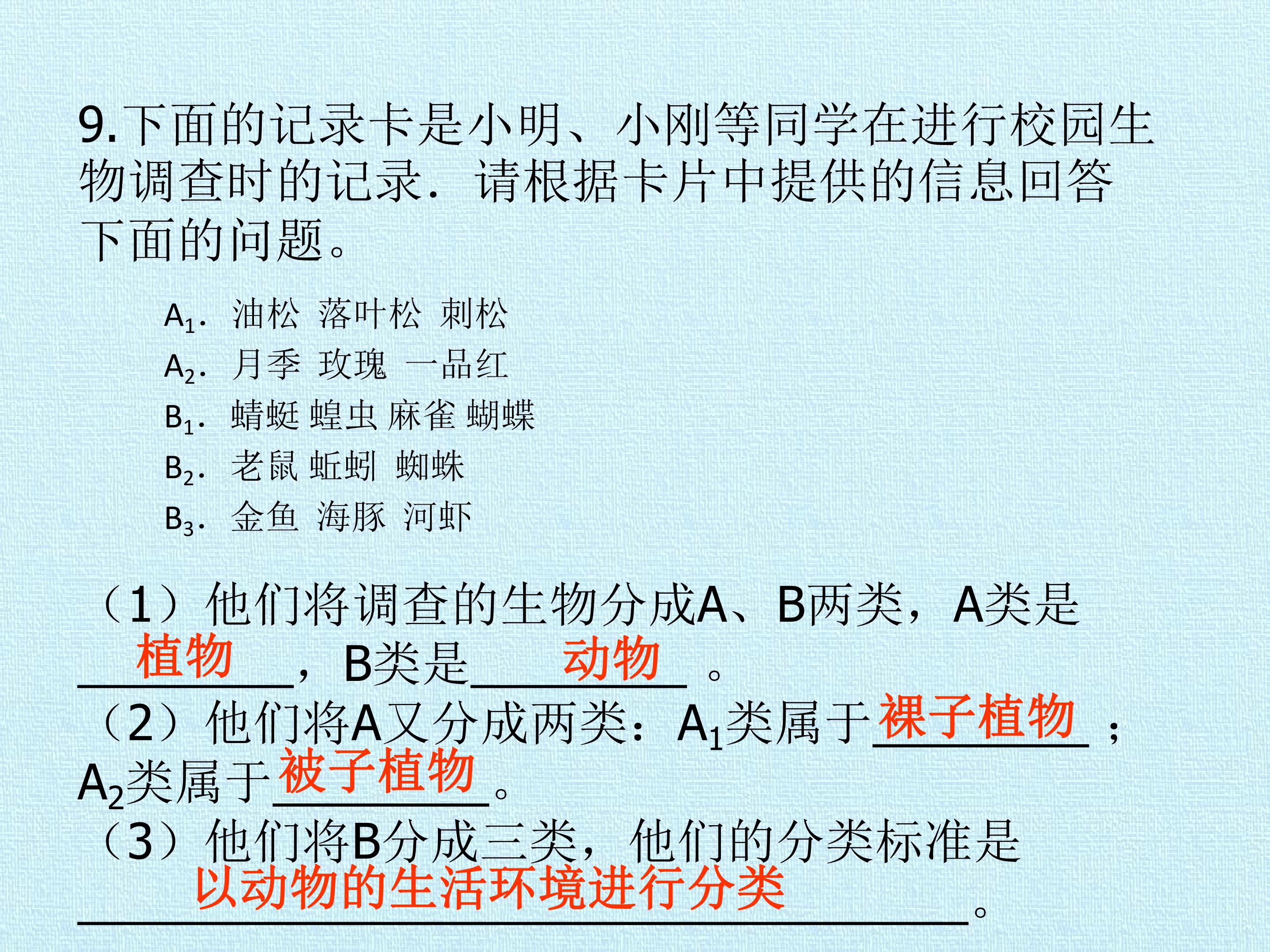 93.jpg