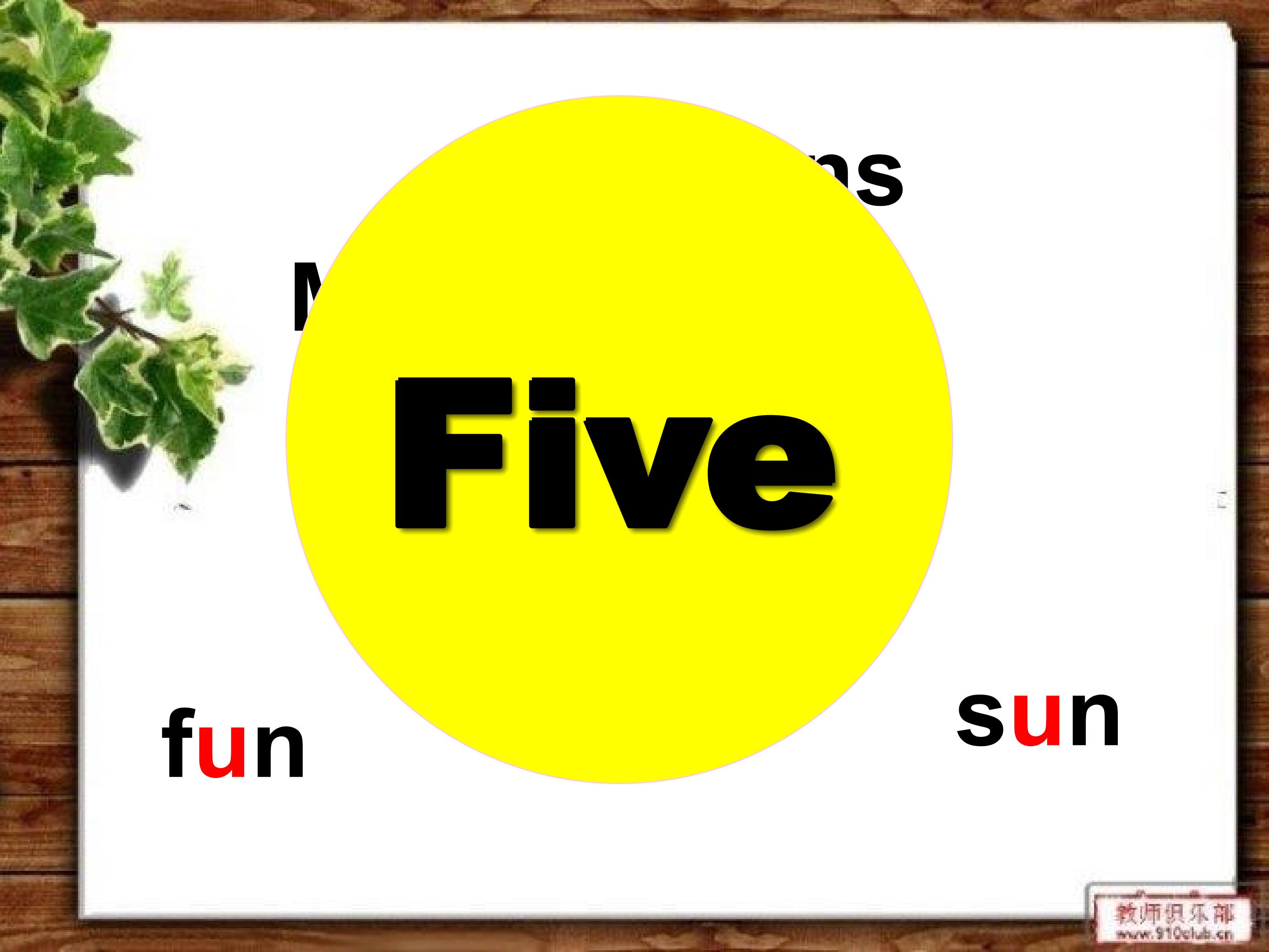 15.jpg