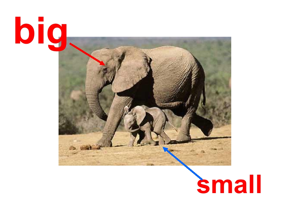 34.jpg