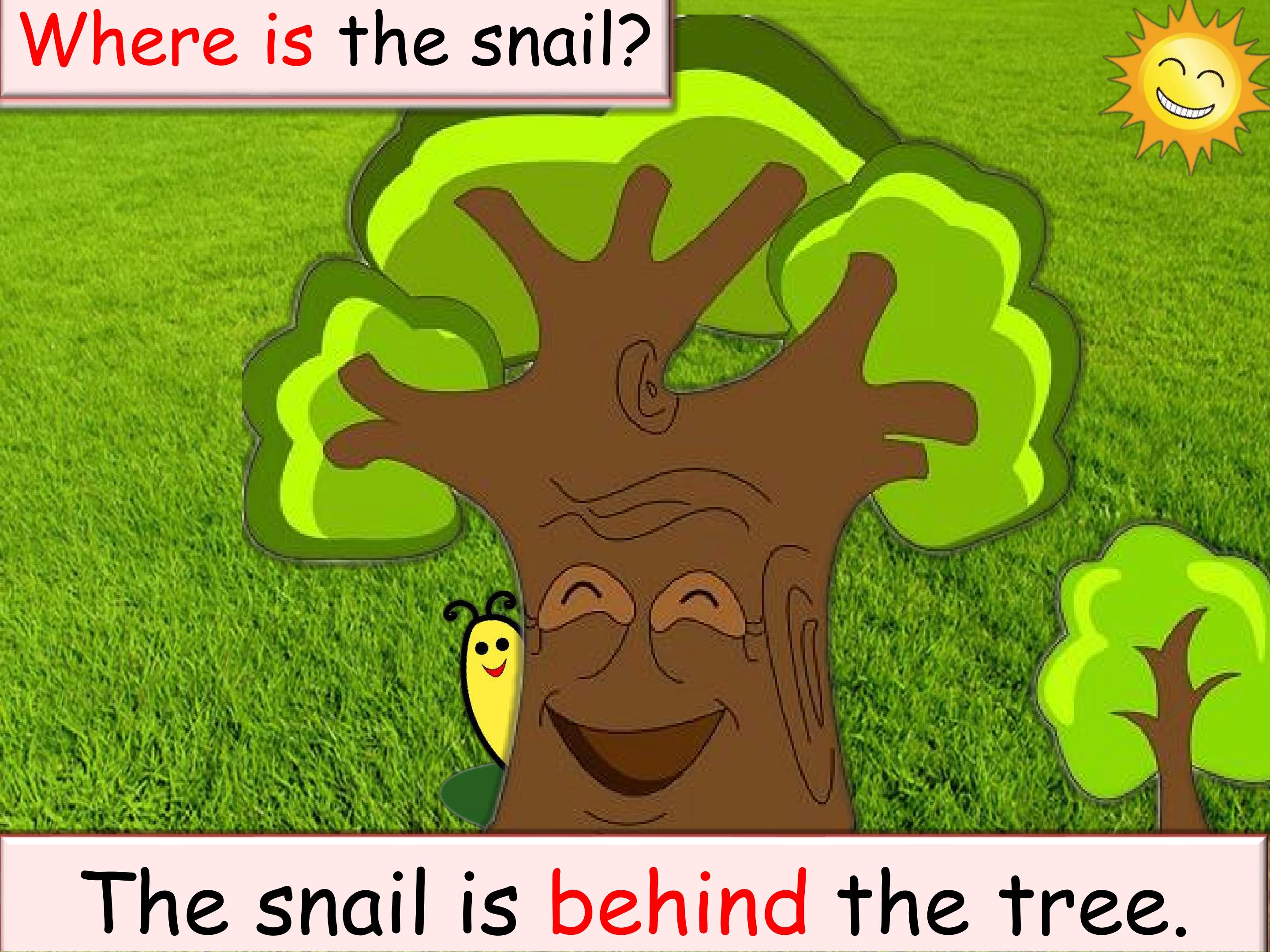 32.jpg