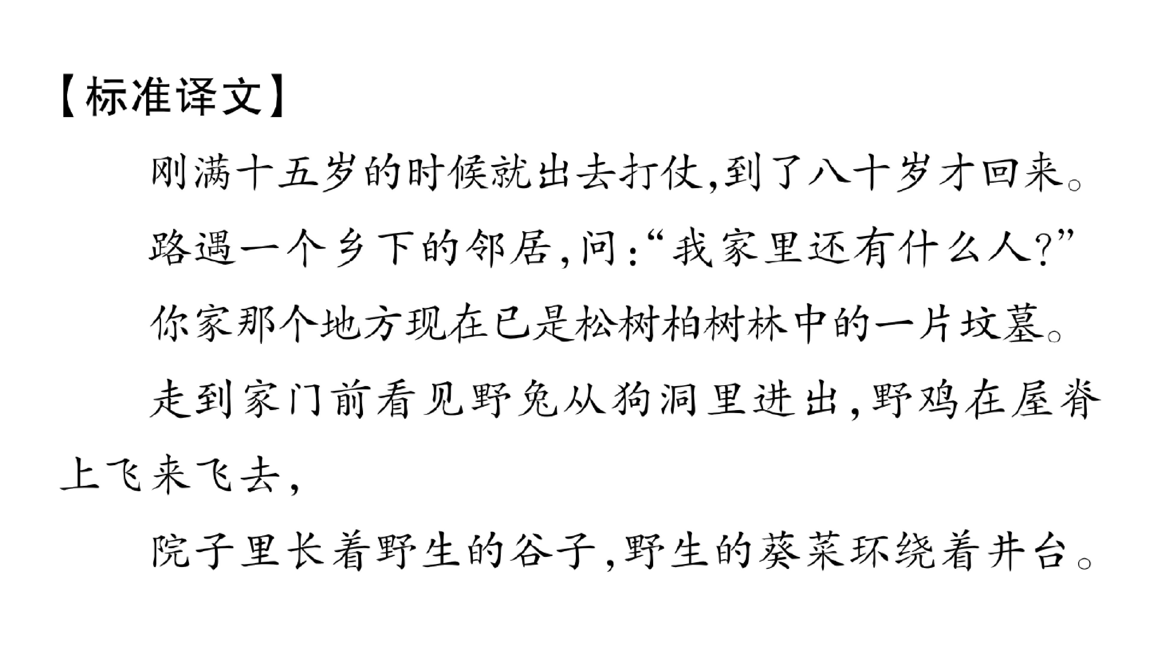 151.jpg