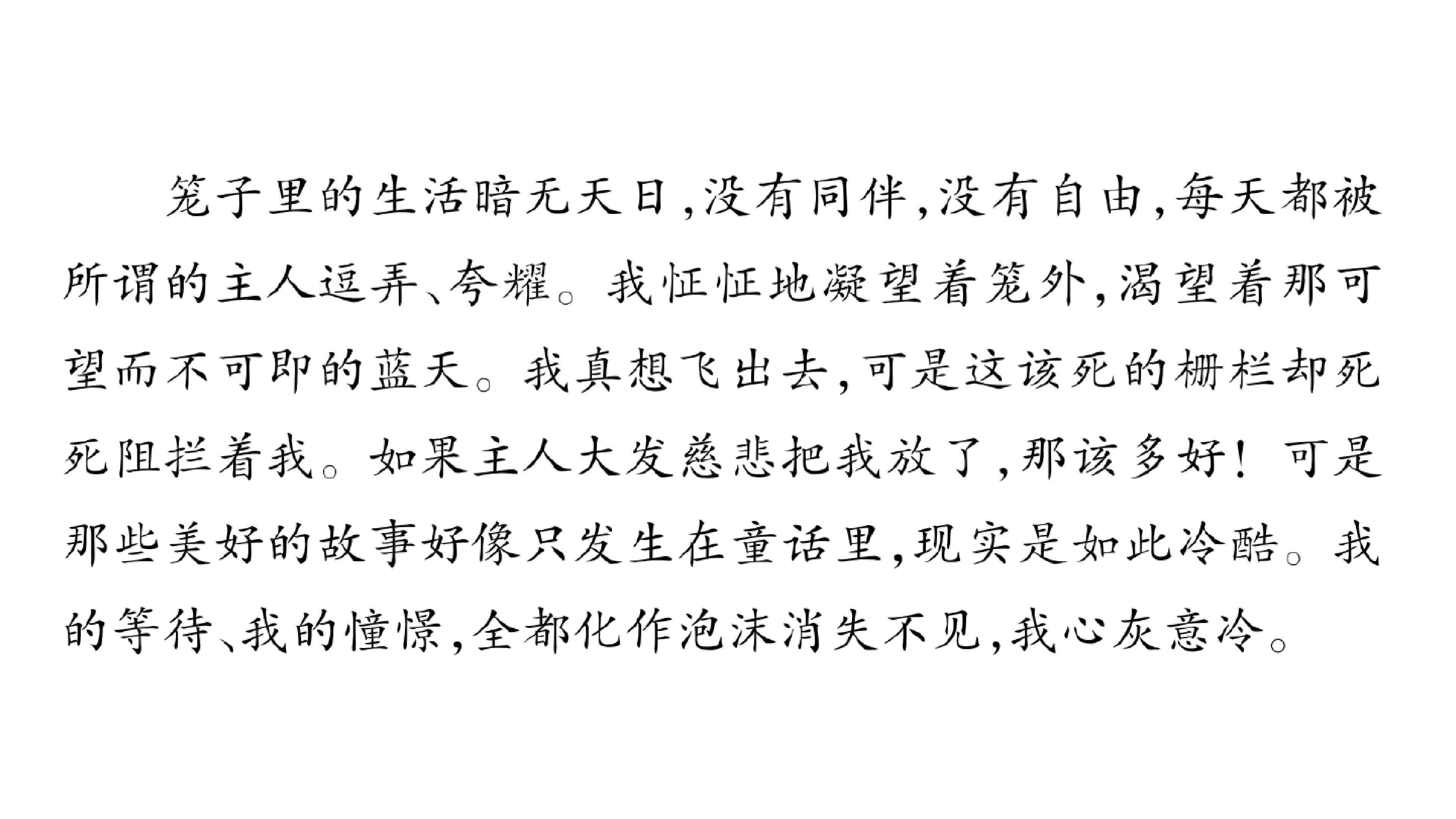 198.jpg