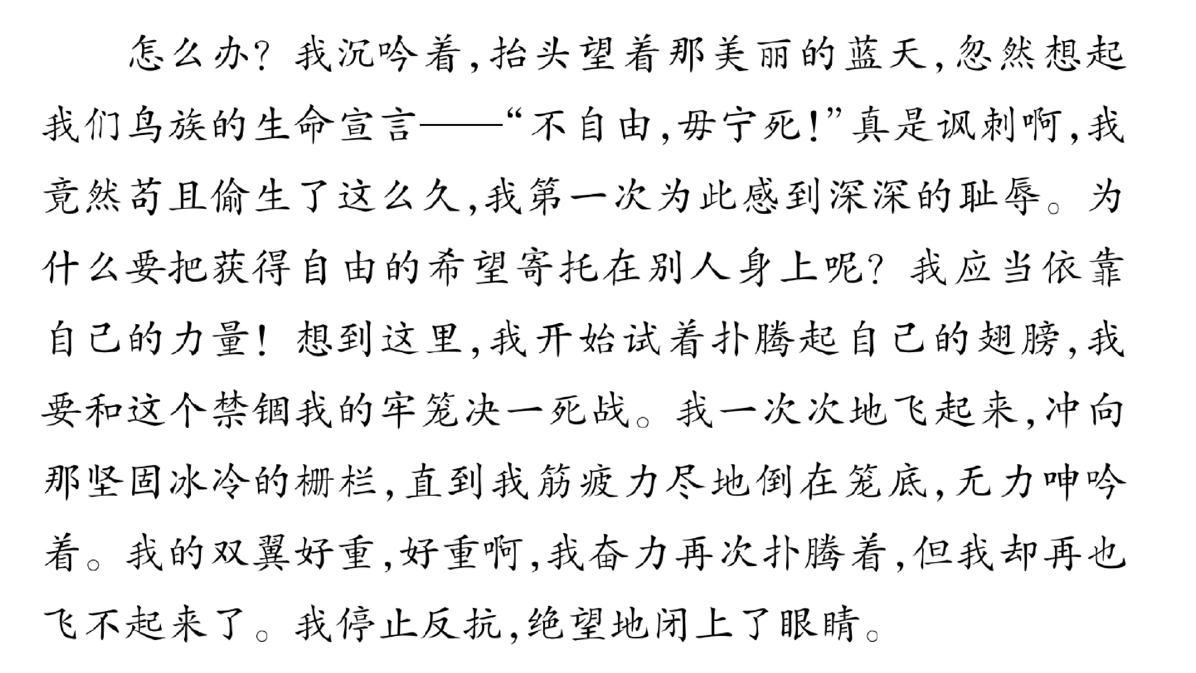 199.jpg