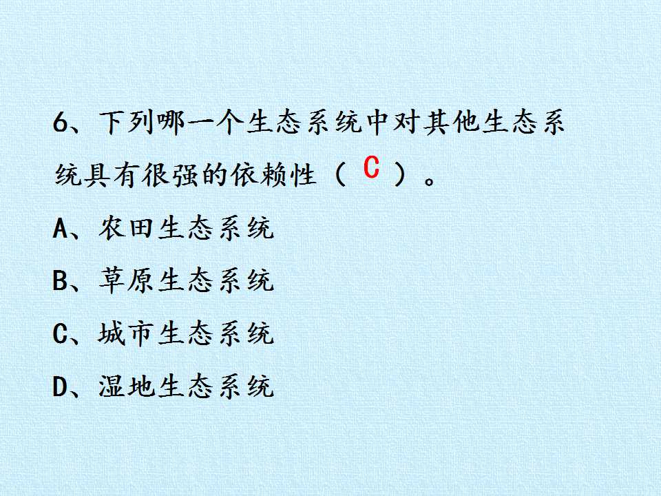 103.jpg