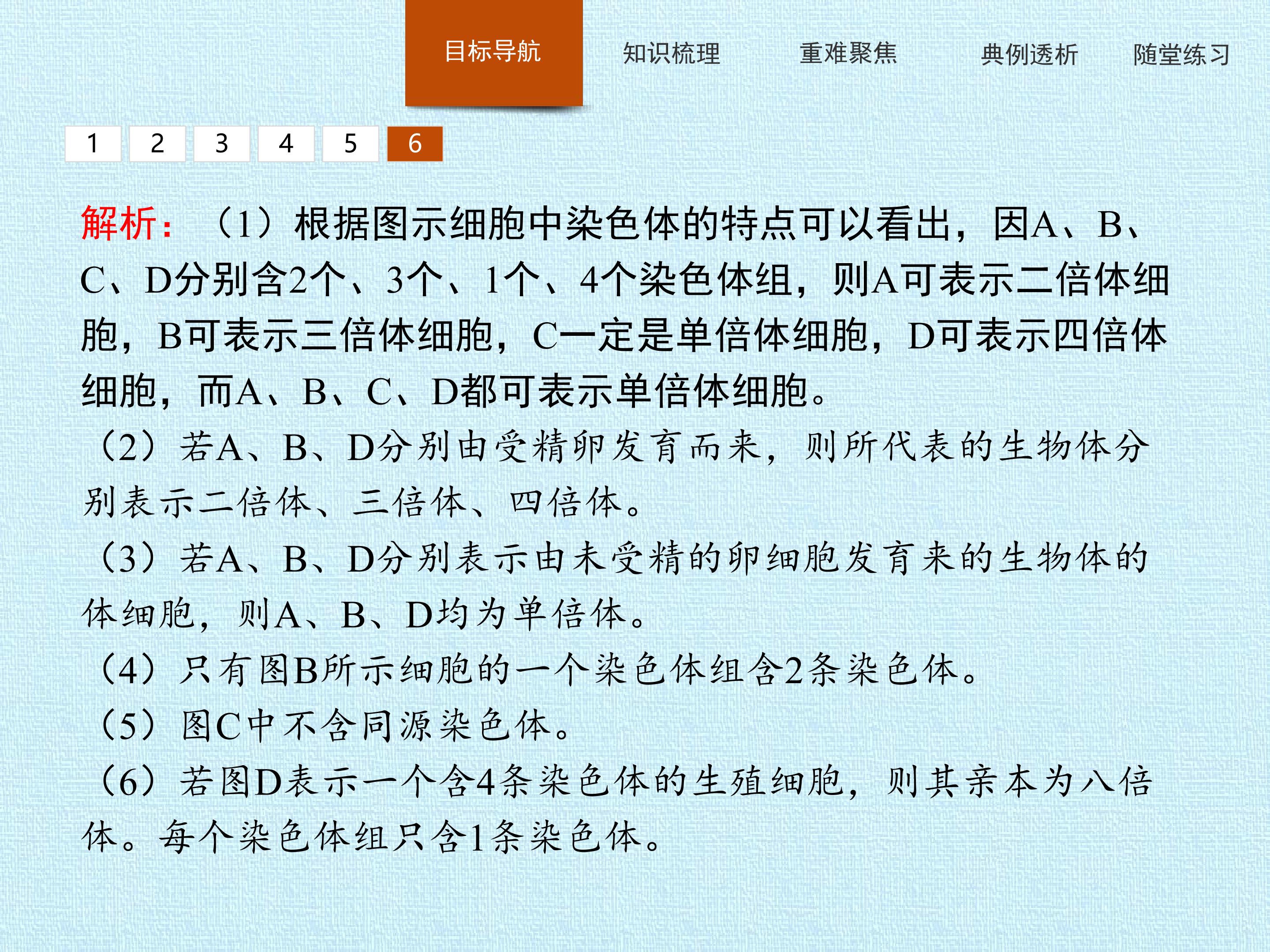 65.jpg