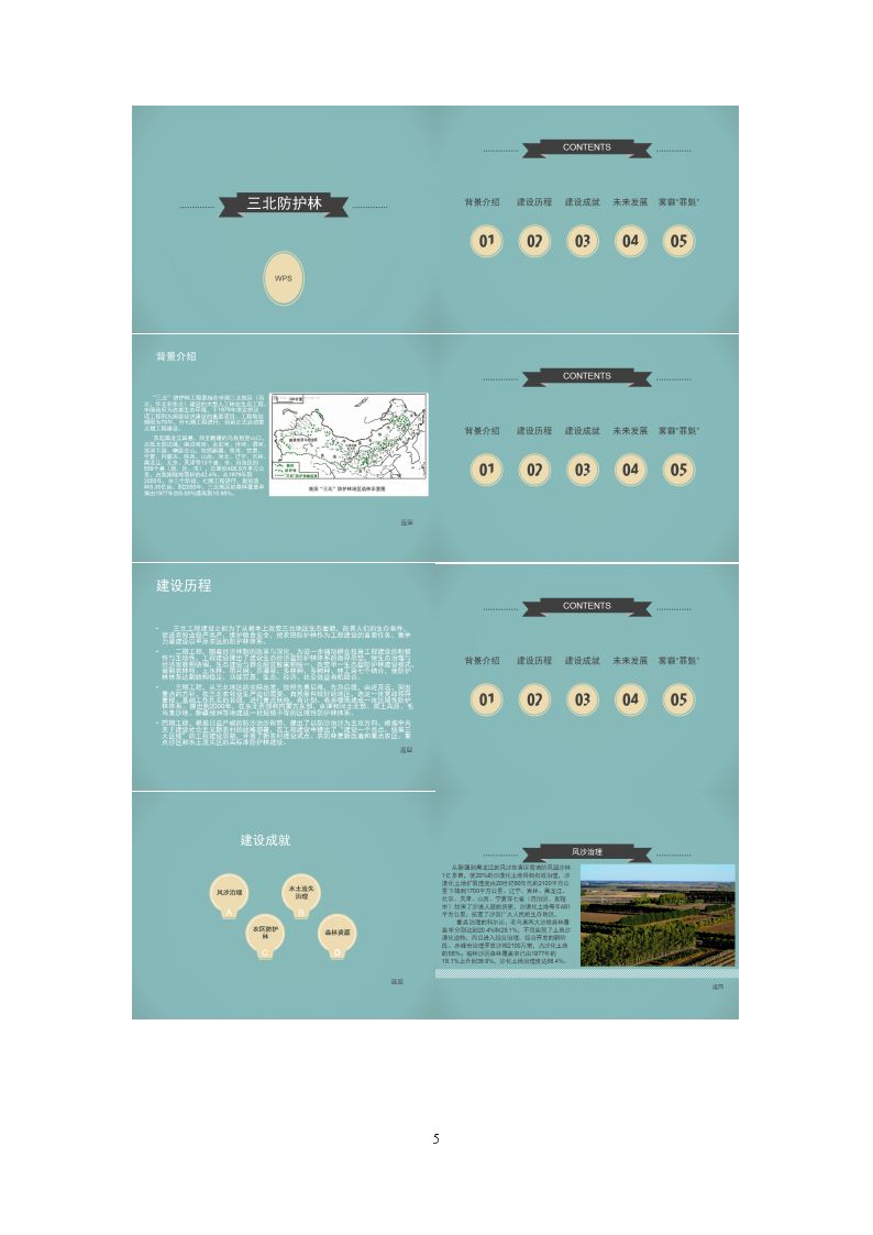 5.jpg