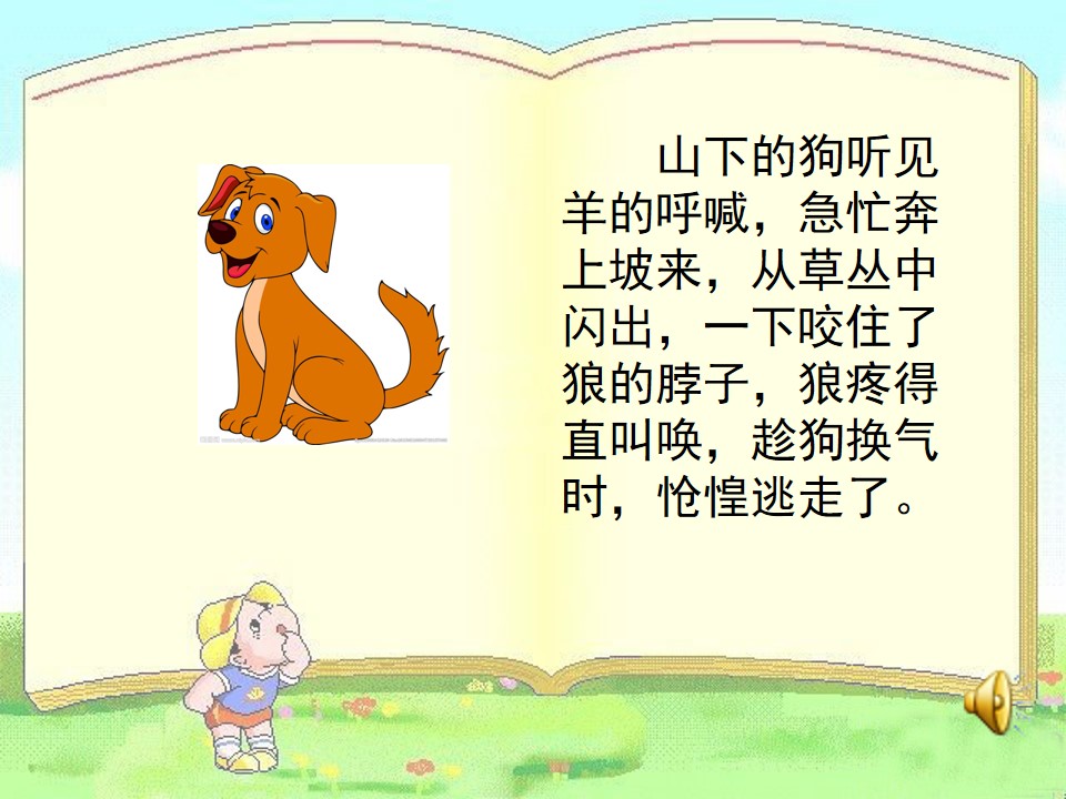 13.jpg