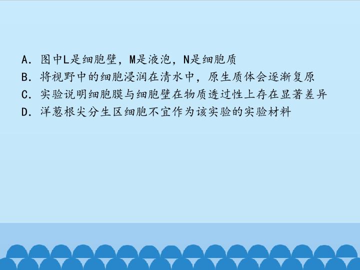 46.jpg