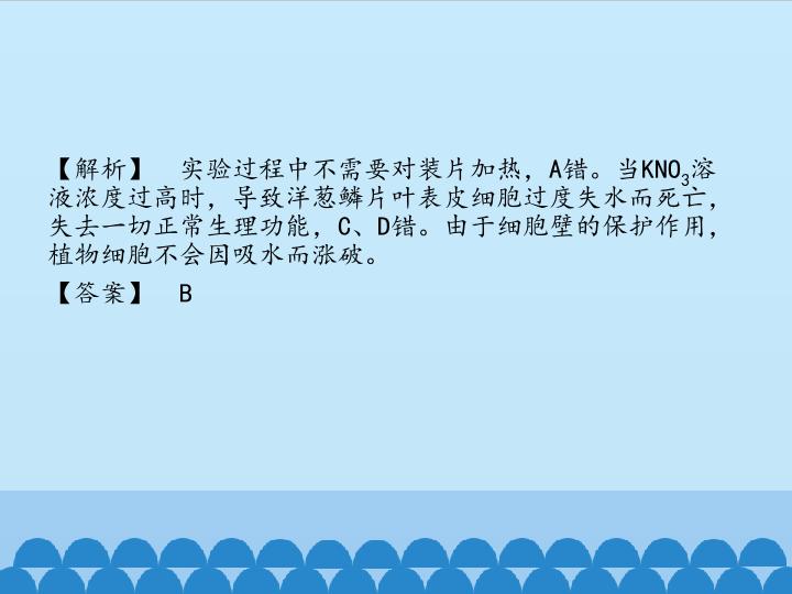 53.jpg
