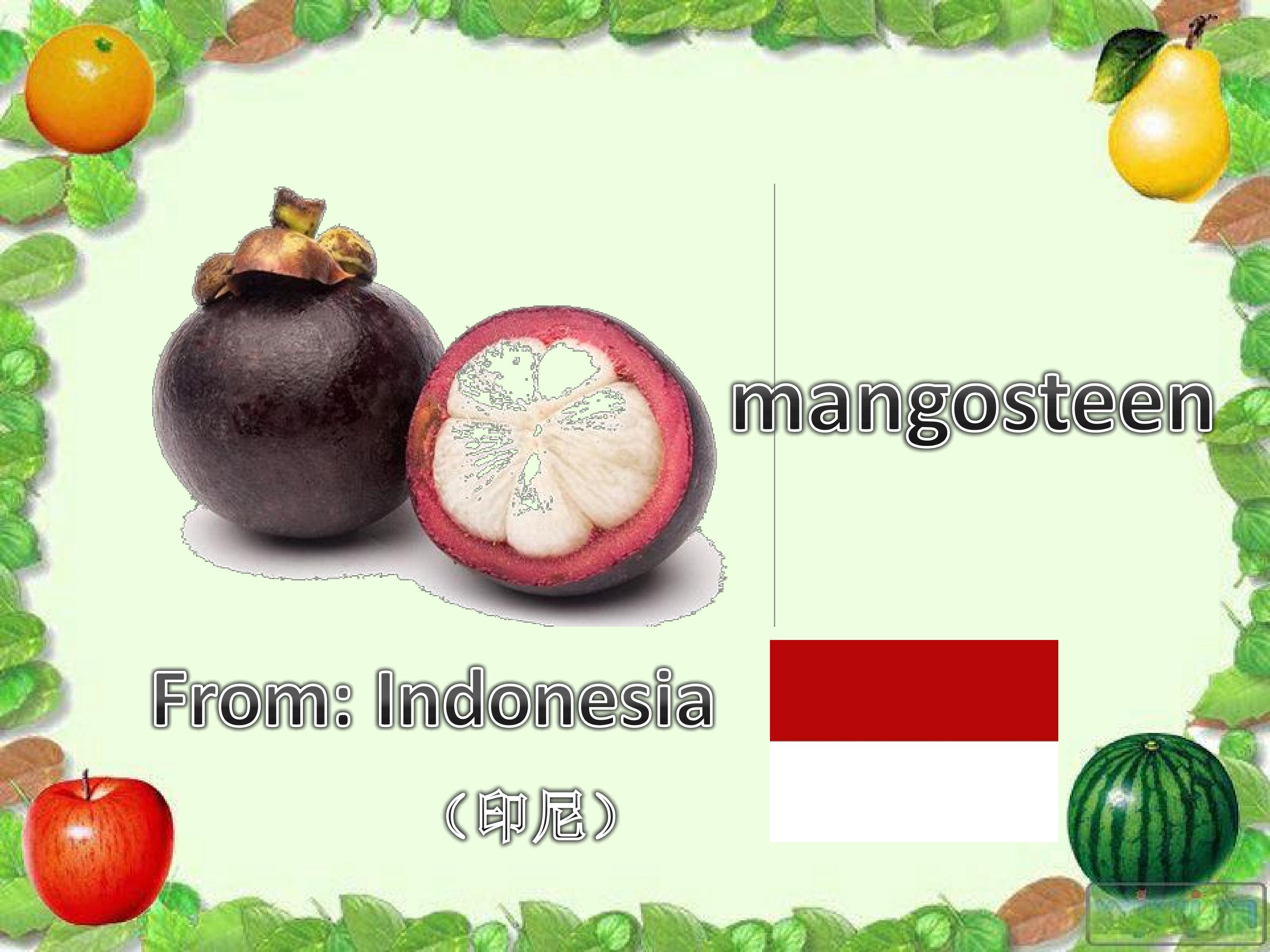 40.jpg