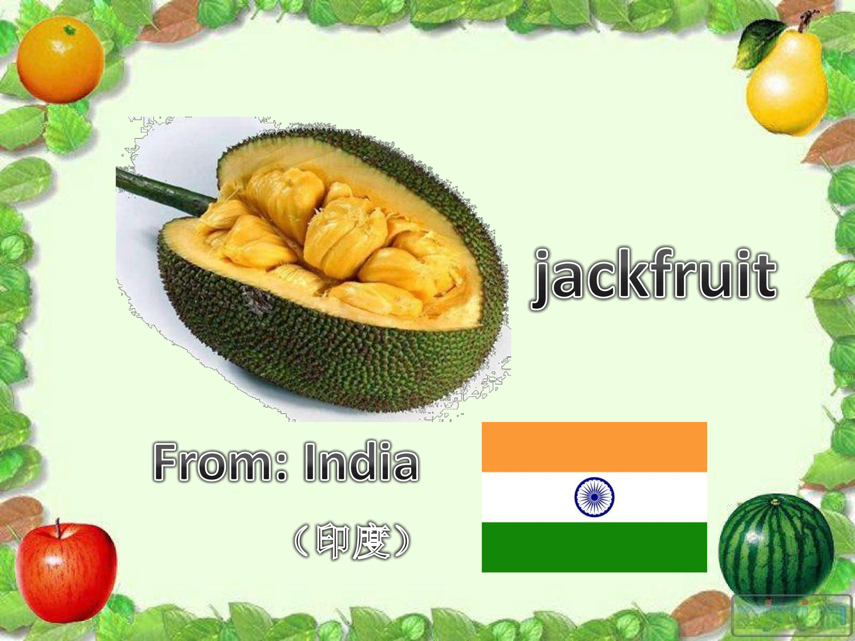 41.jpg