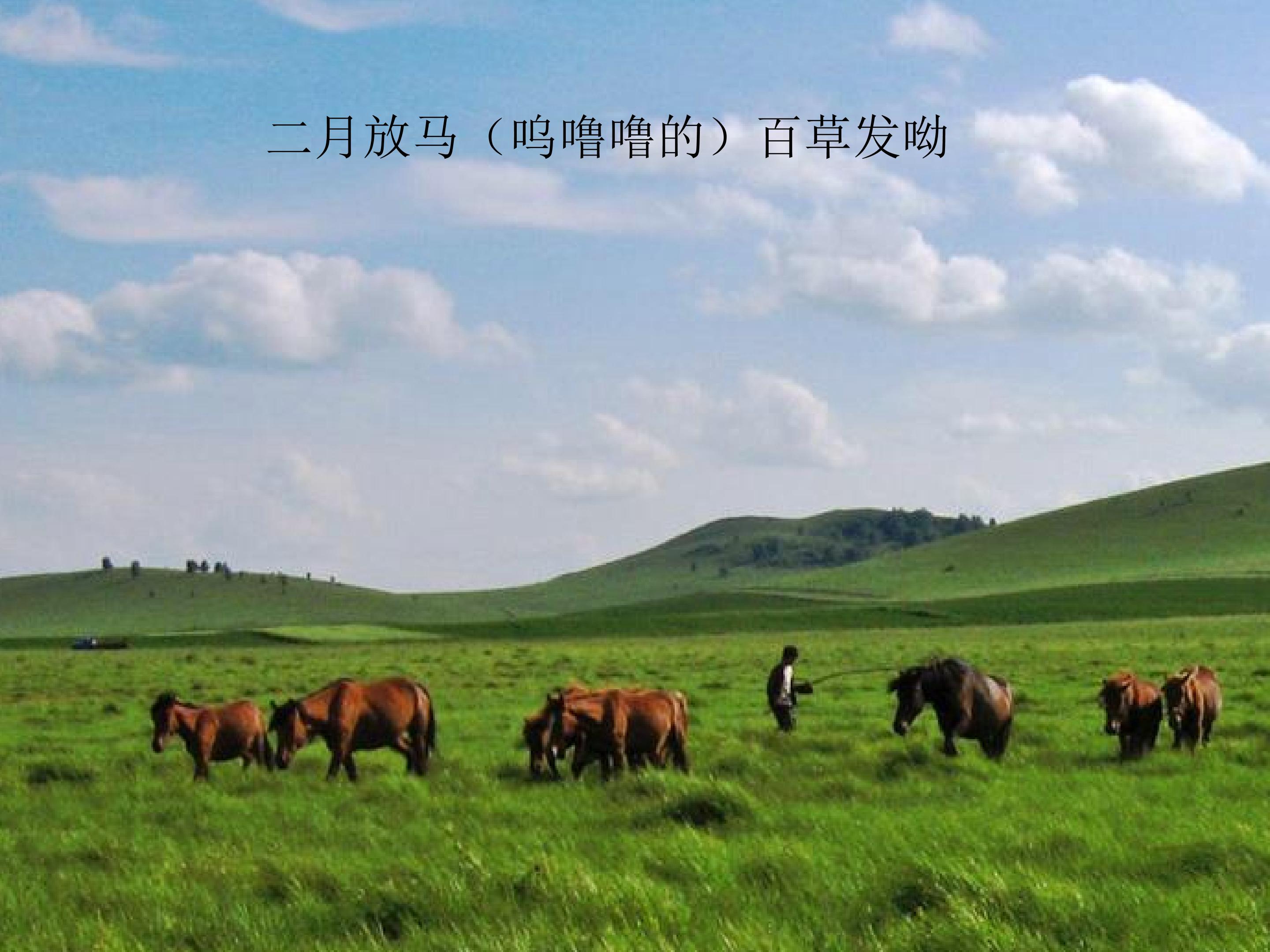 33.jpg