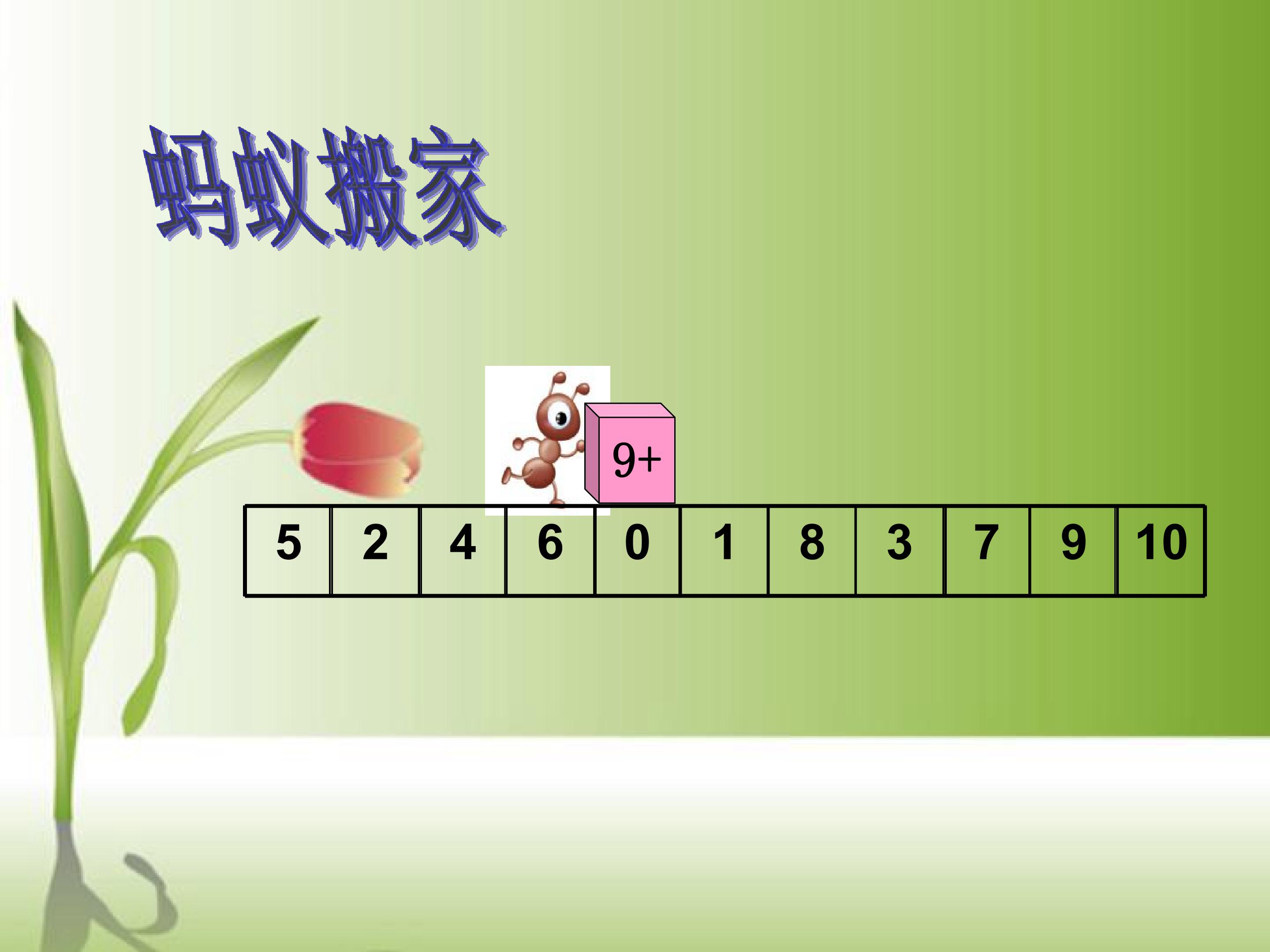 19.jpg