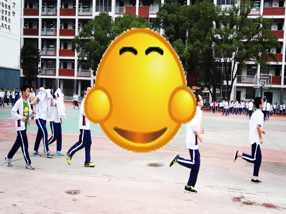 14.jpg