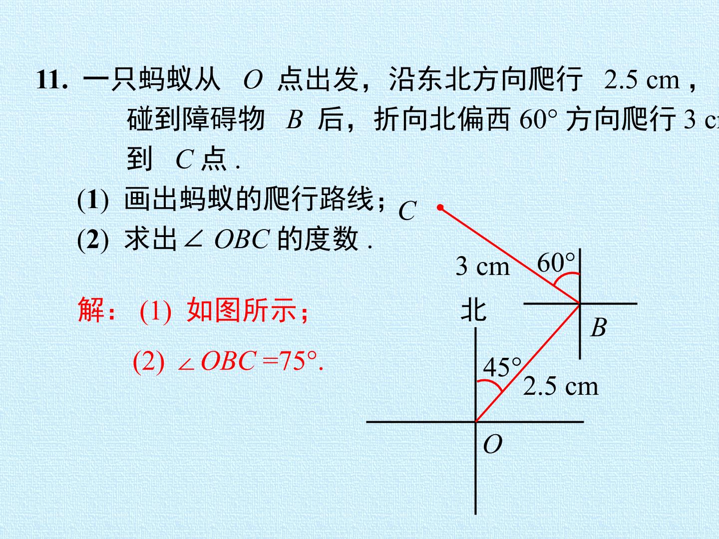 44.jpg