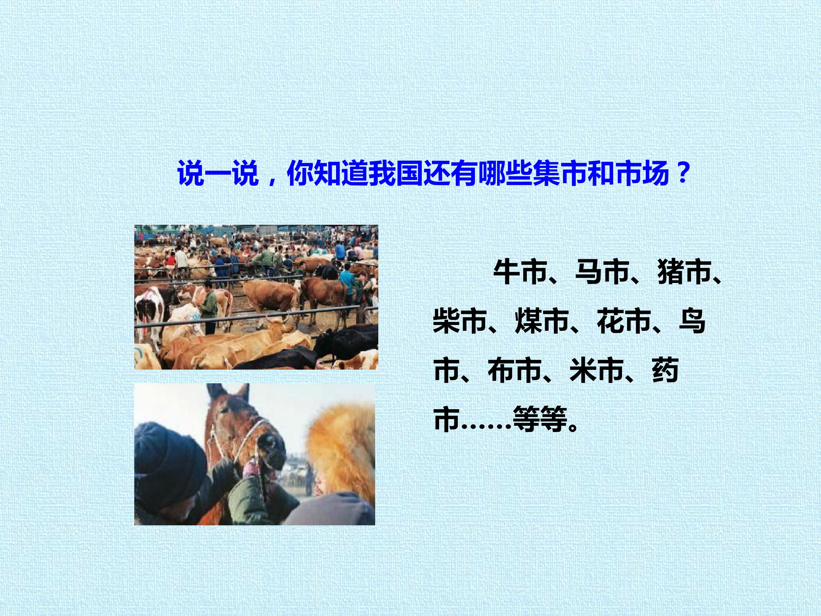 73.jpg