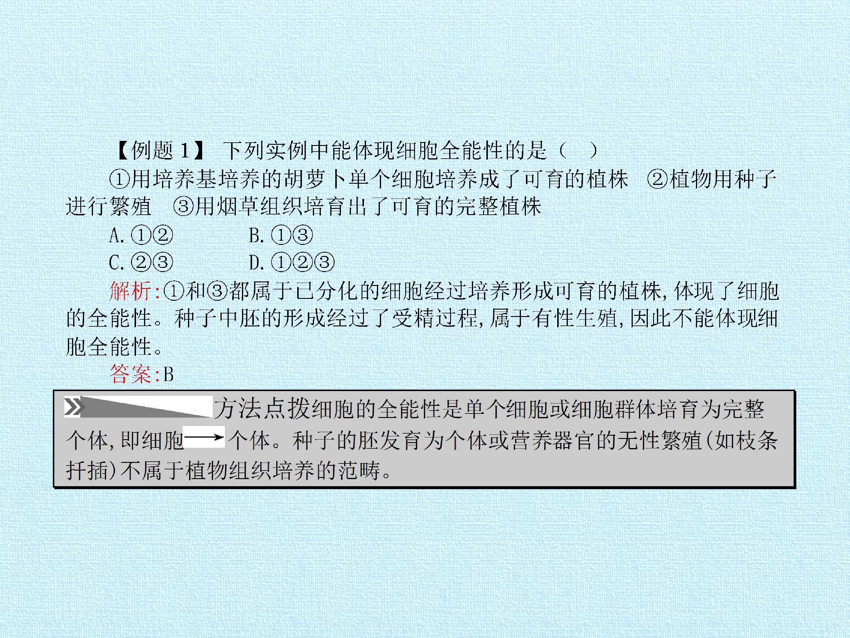 65.jpg
