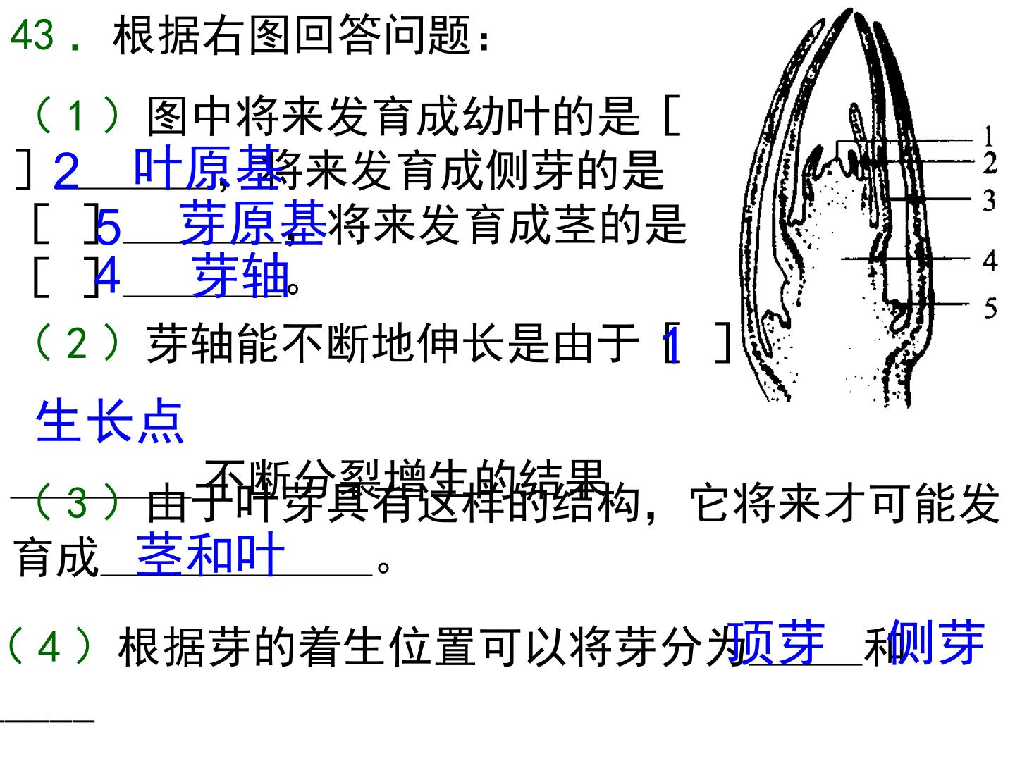 68.jpg