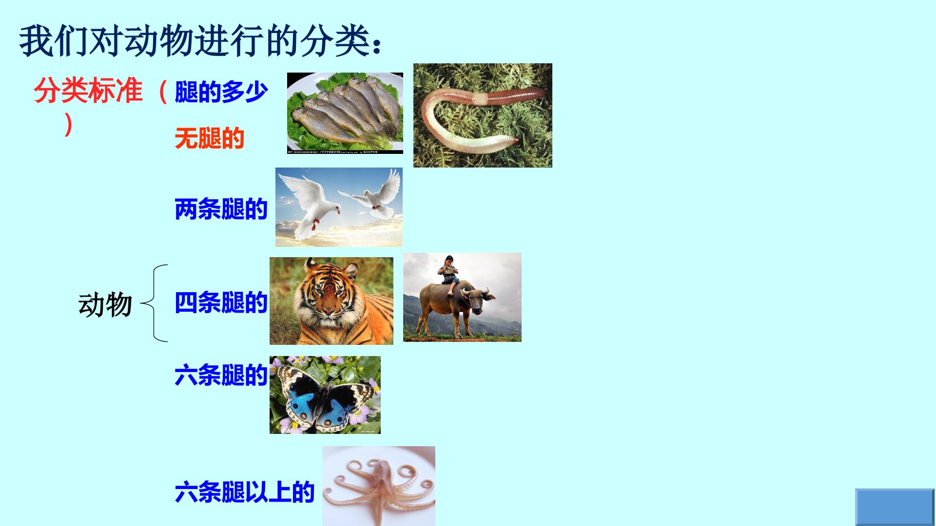 41.jpg