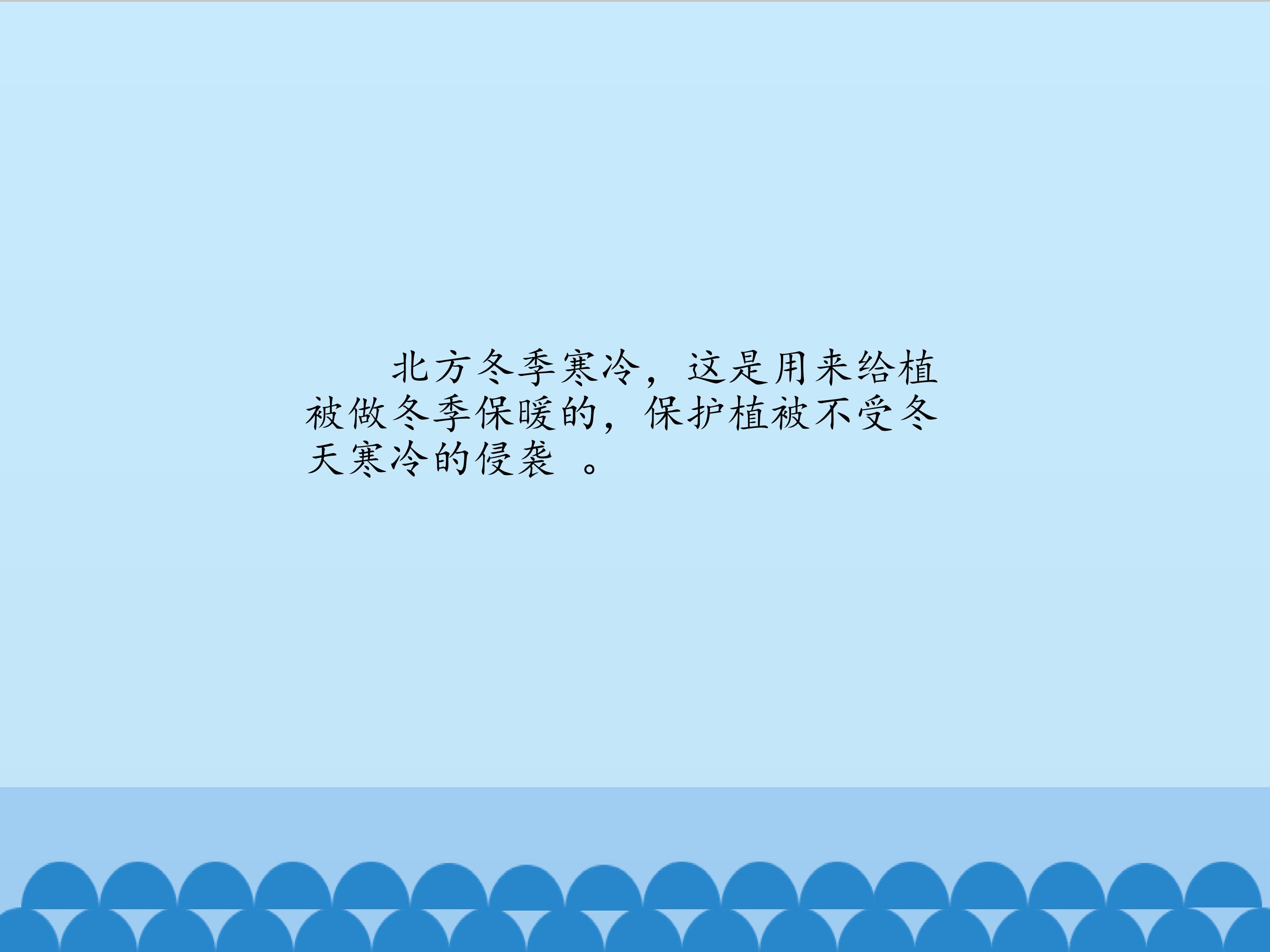 65.jpg