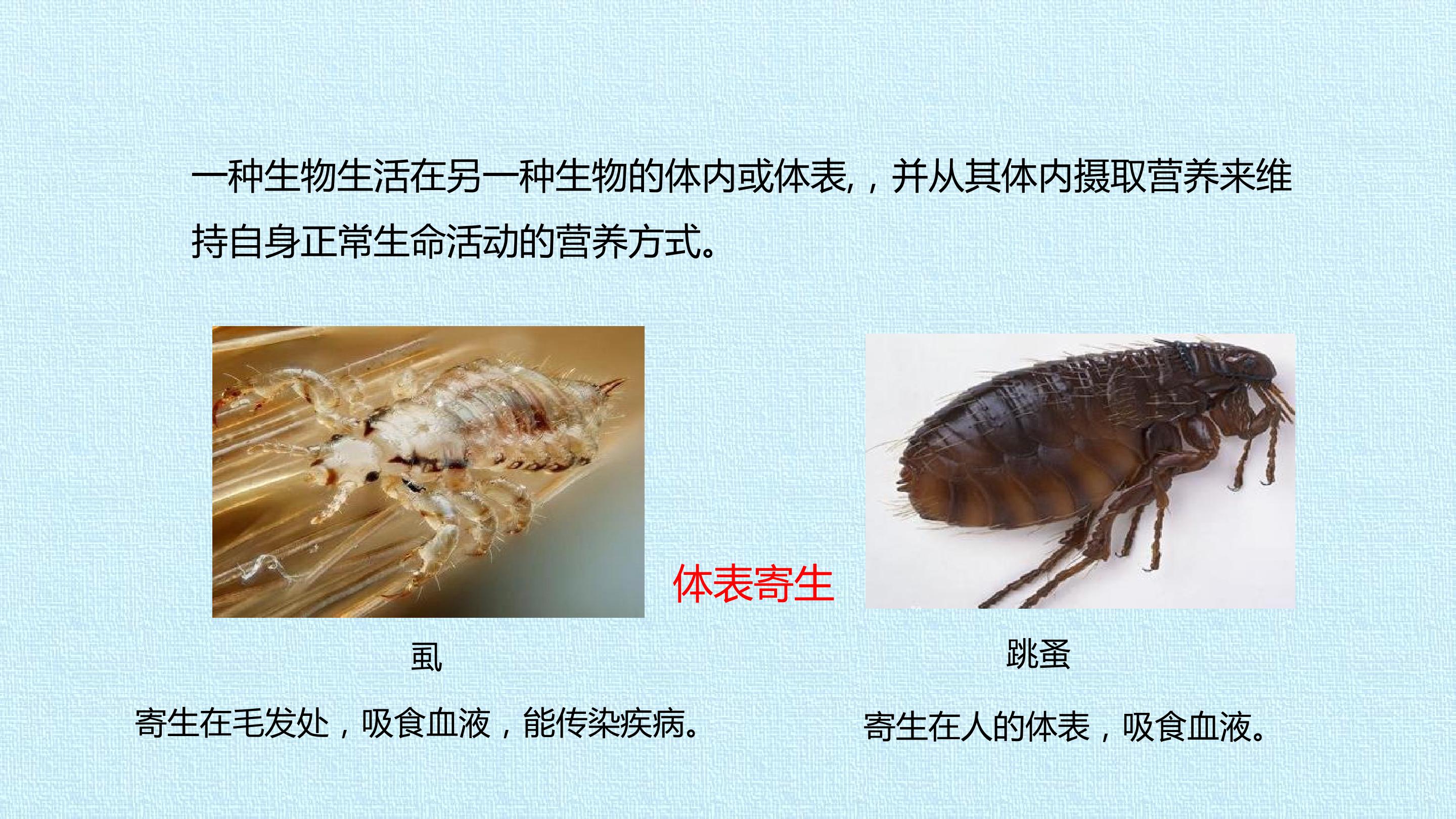 65.jpg