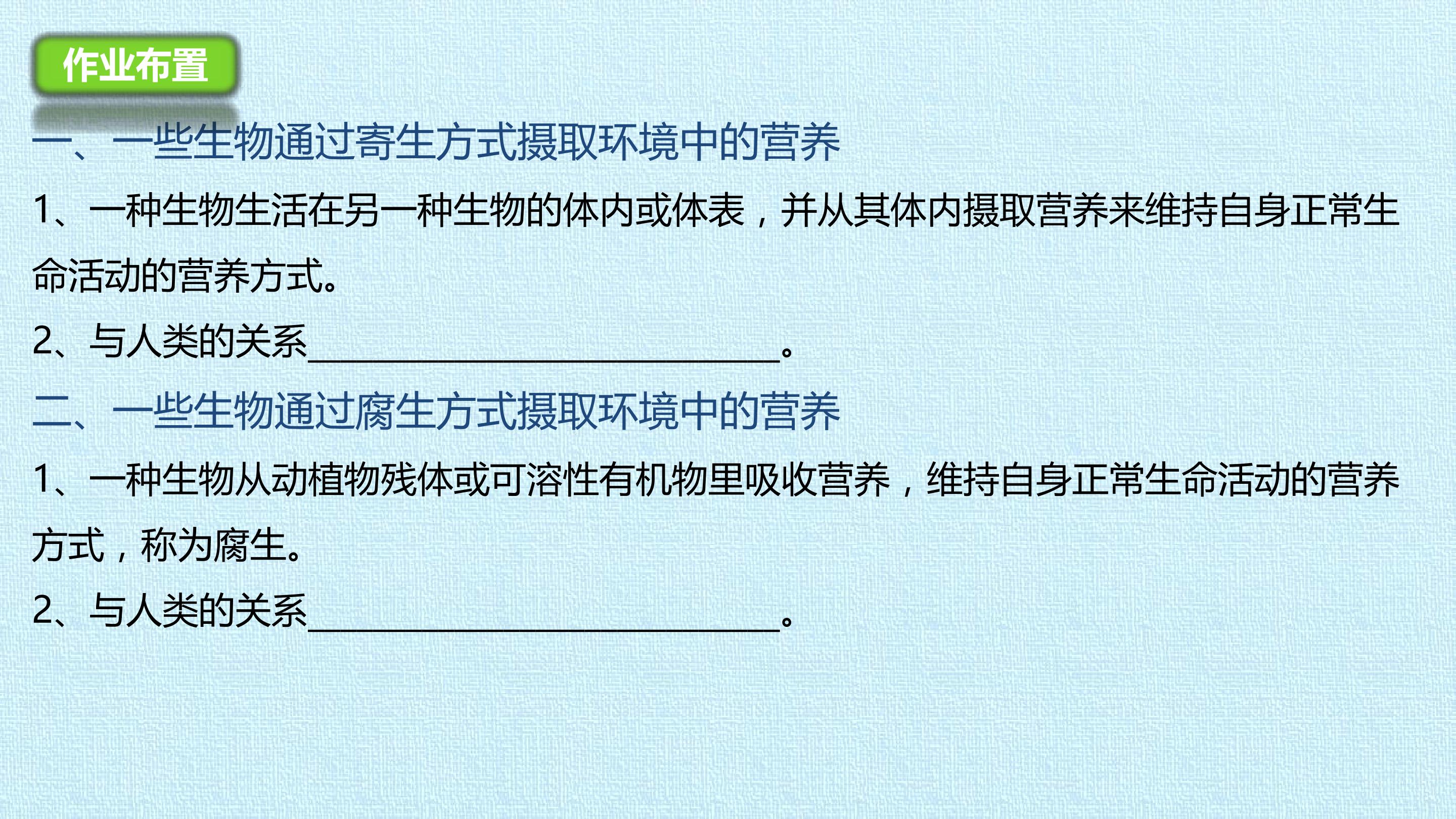 81.jpg