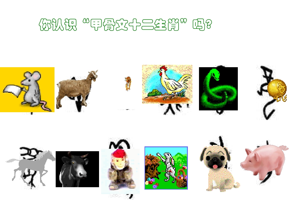 17.jpg