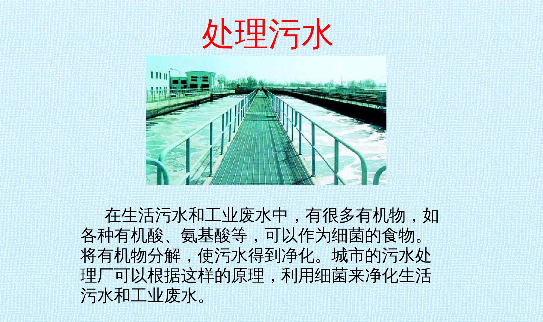102.jpg