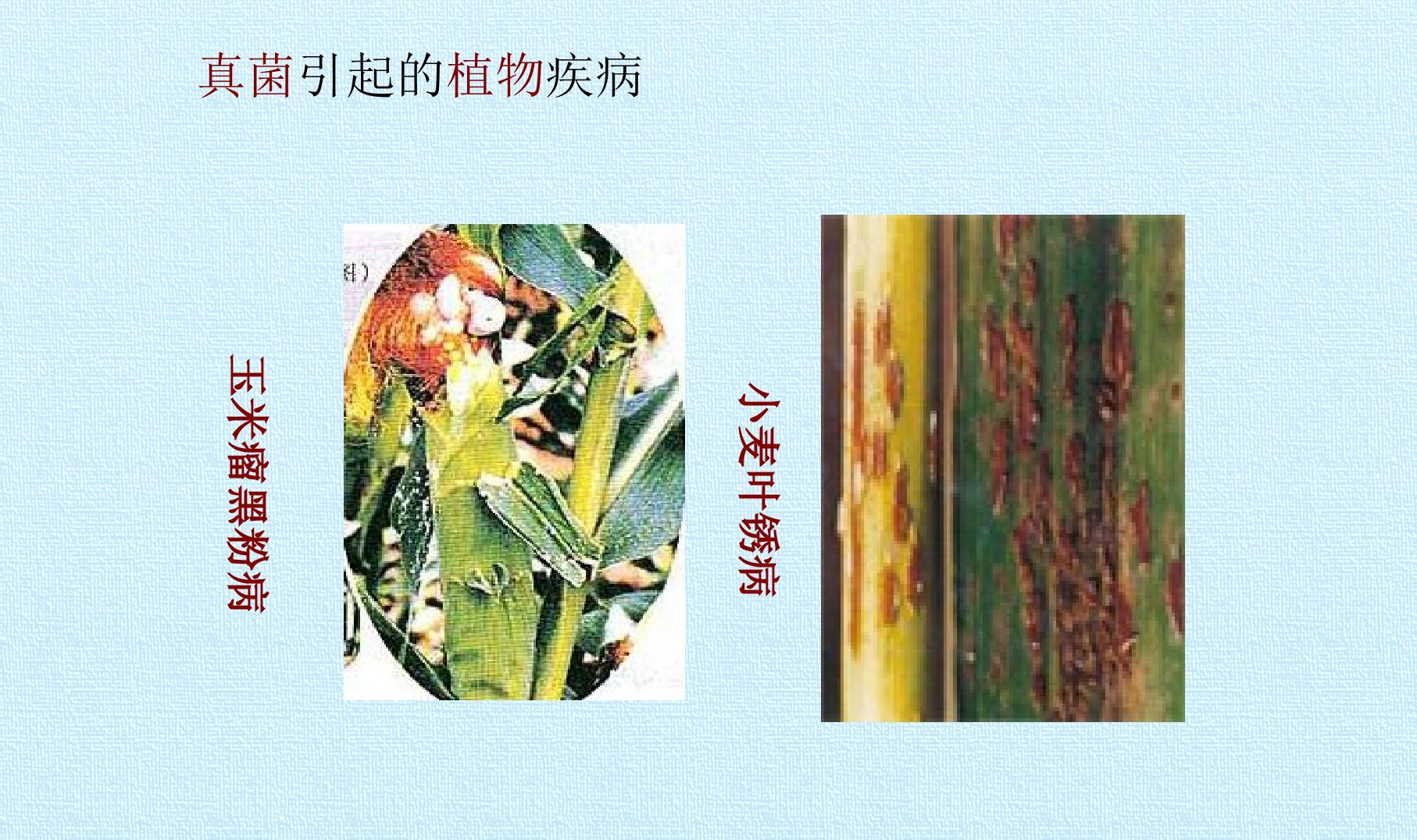 65.jpg