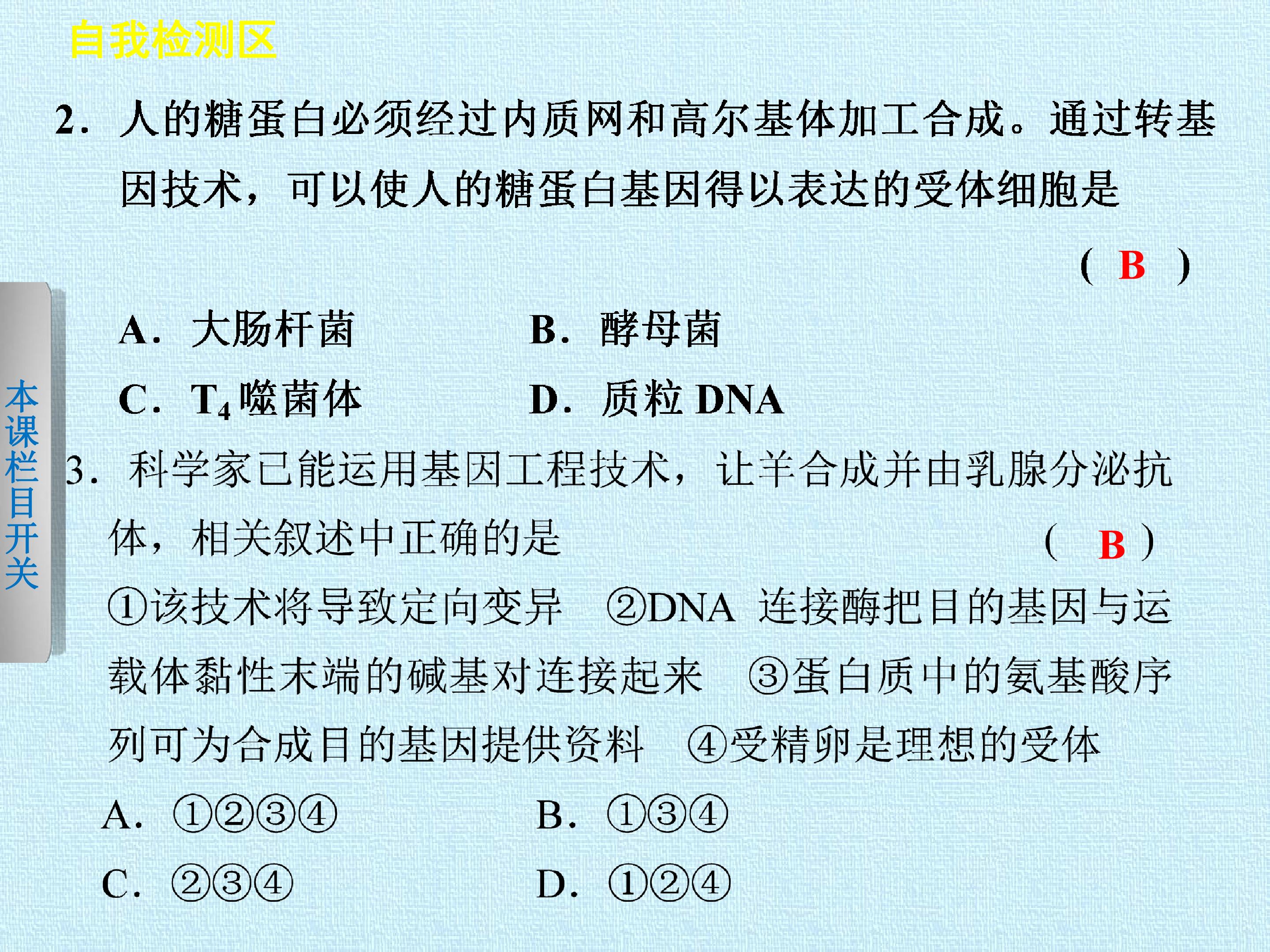 121.jpg