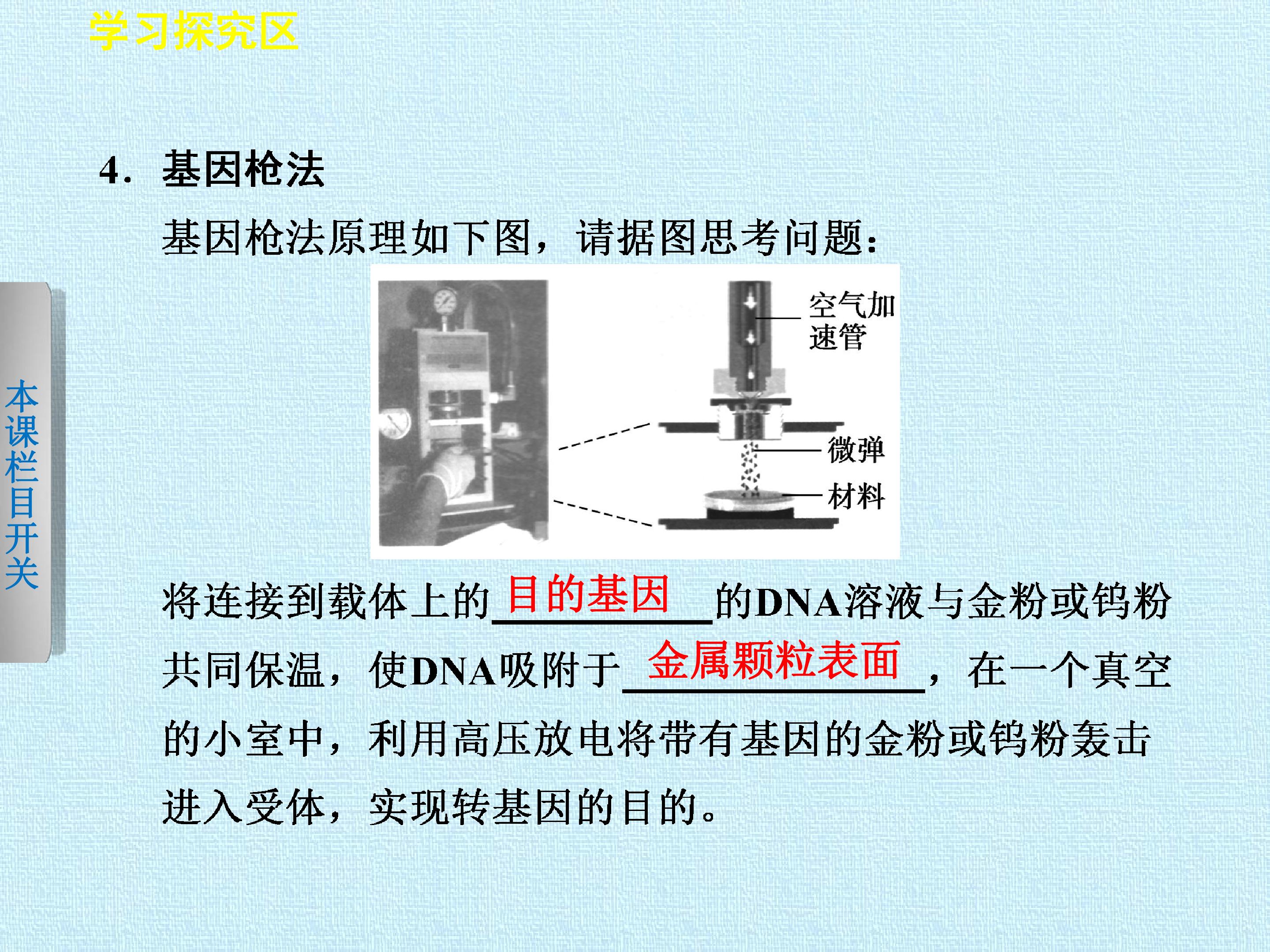 79.jpg