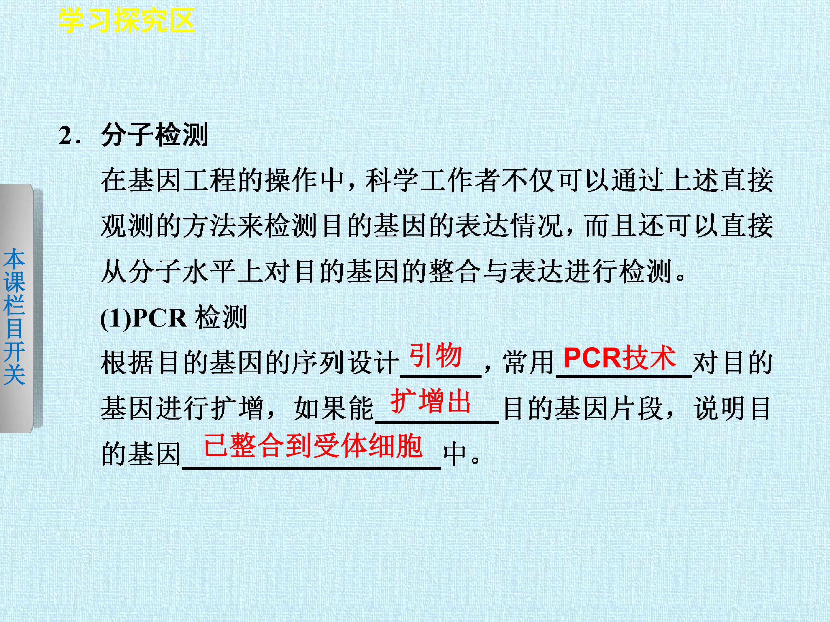 87.jpg